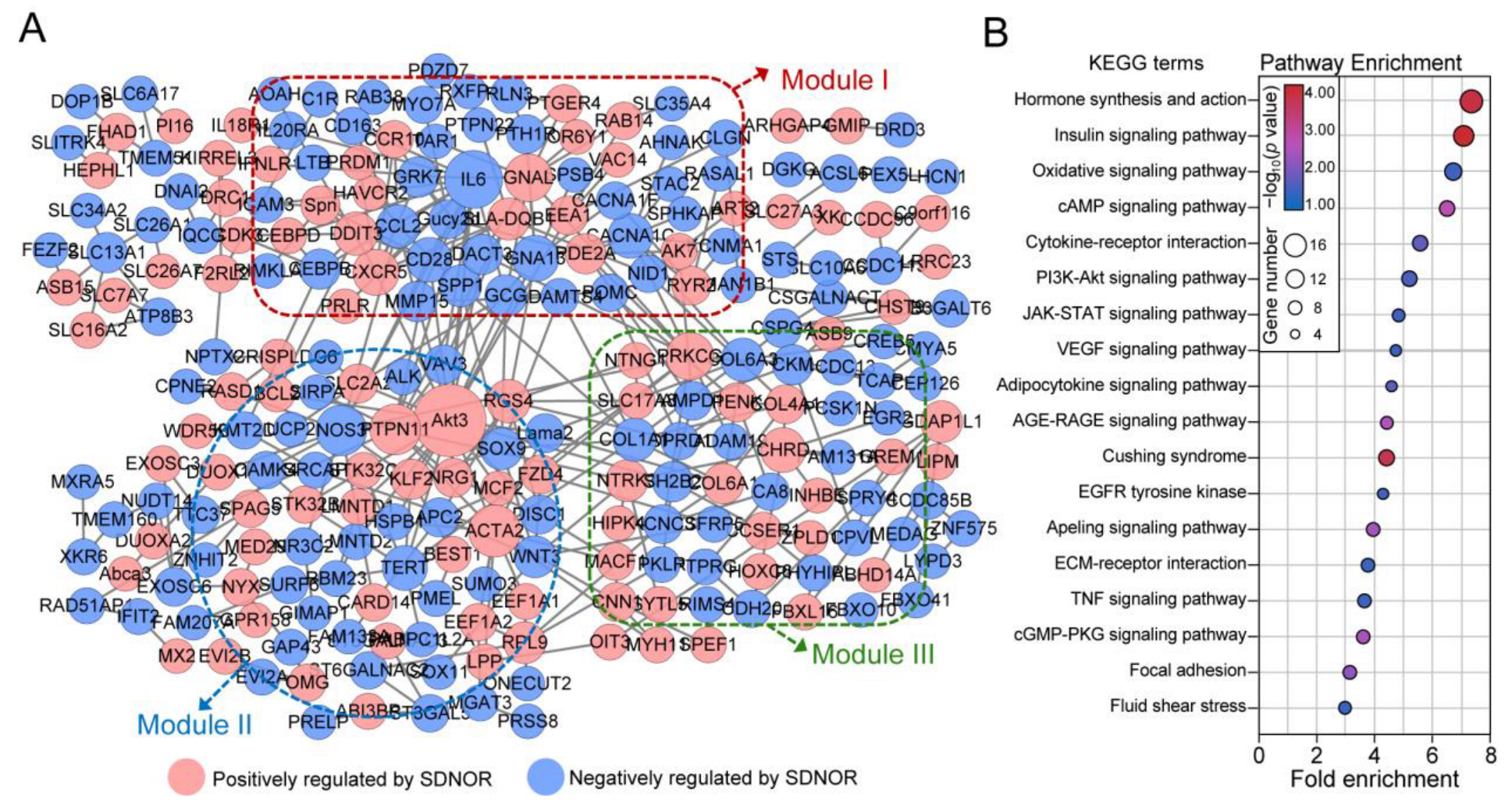 Antioxidants 12 00799 g003