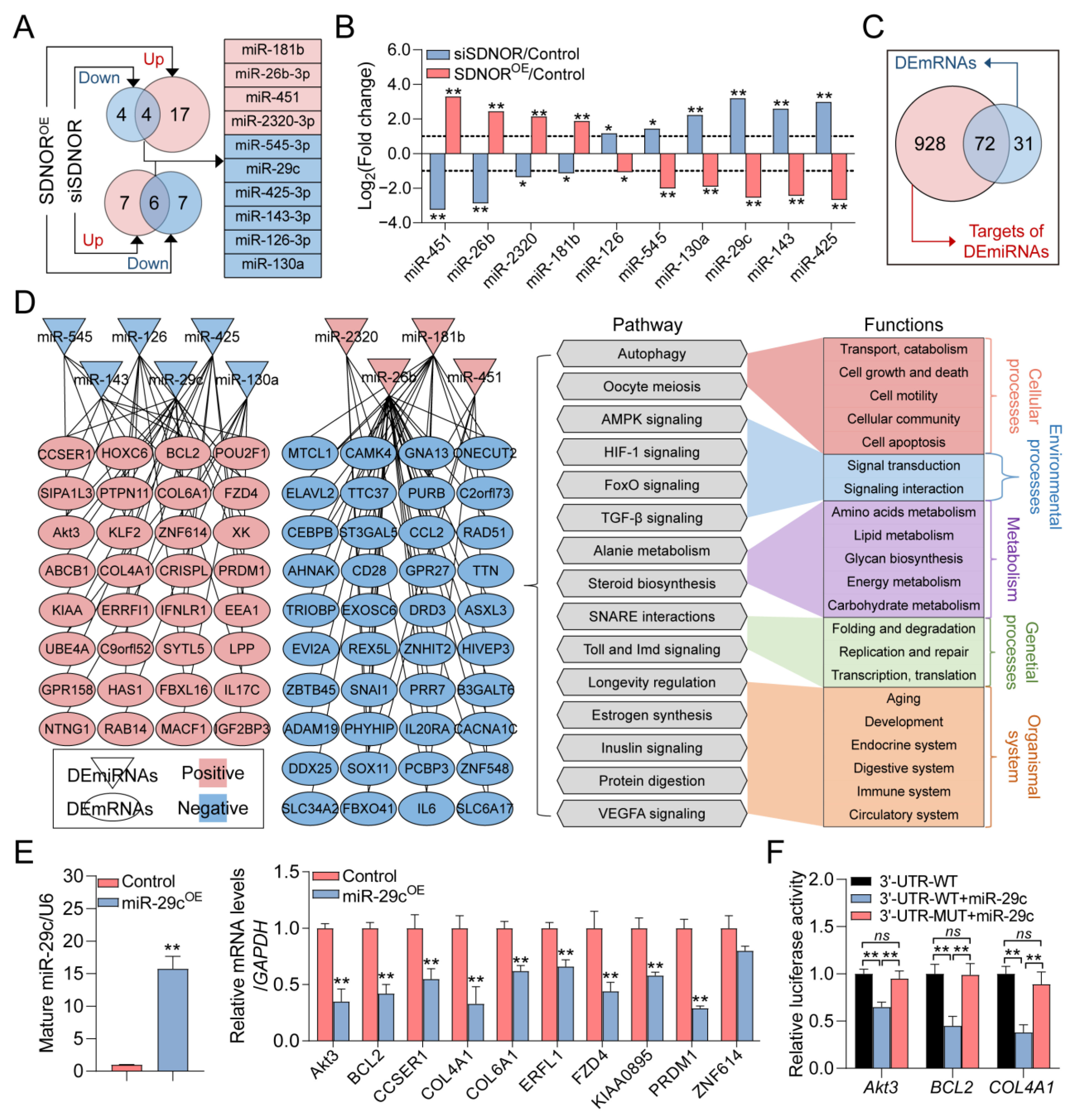 Antioxidants 12 00799 g004