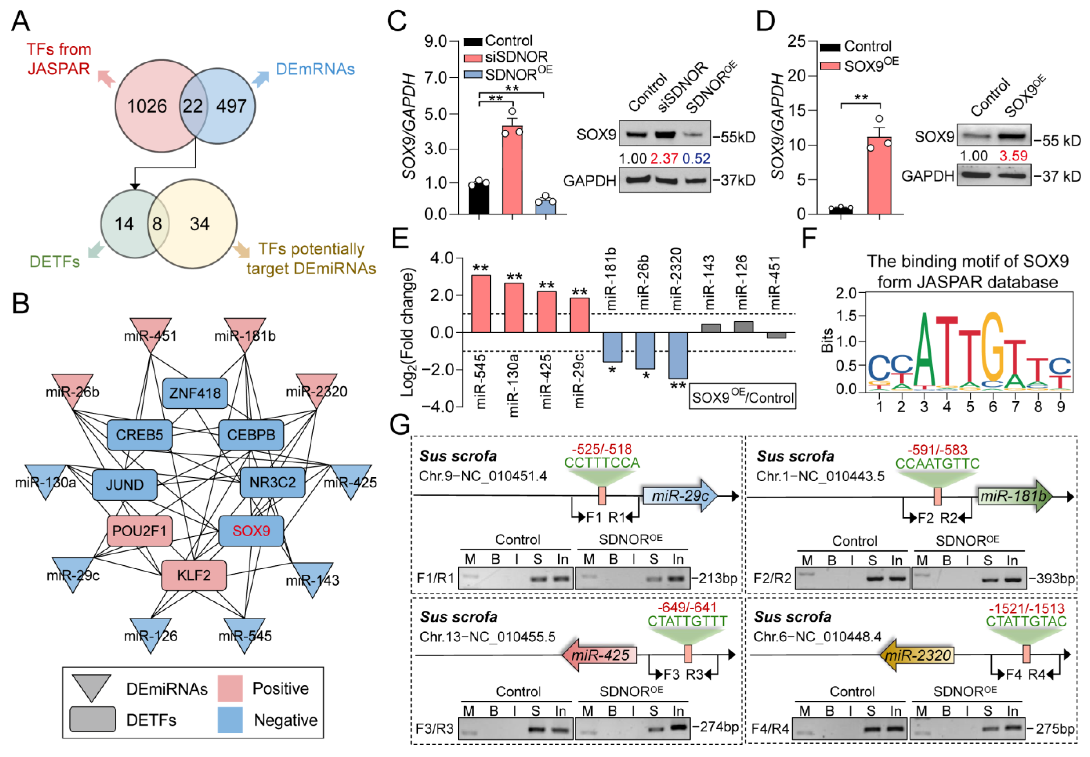 Antioxidants 12 00799 g005