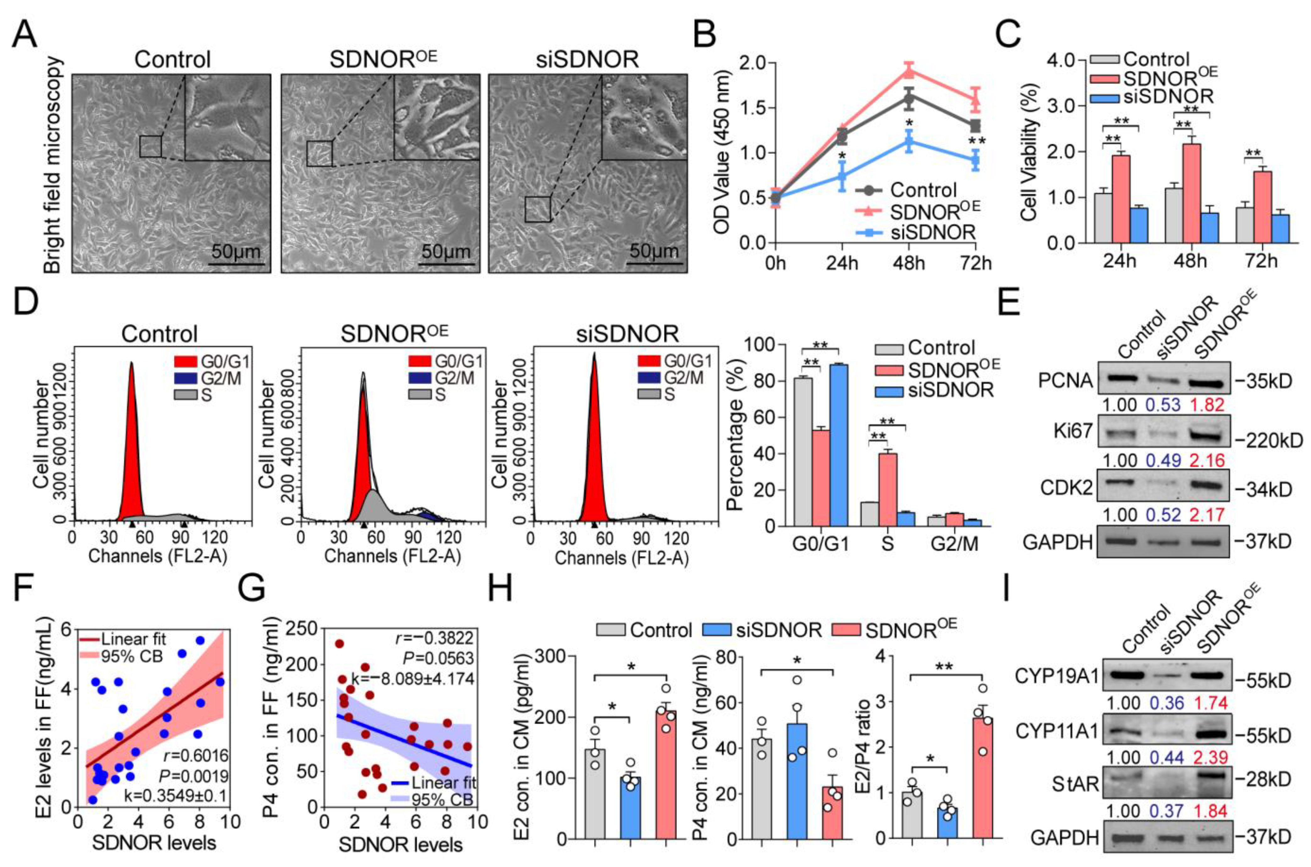 Antioxidants 12 00799 g006