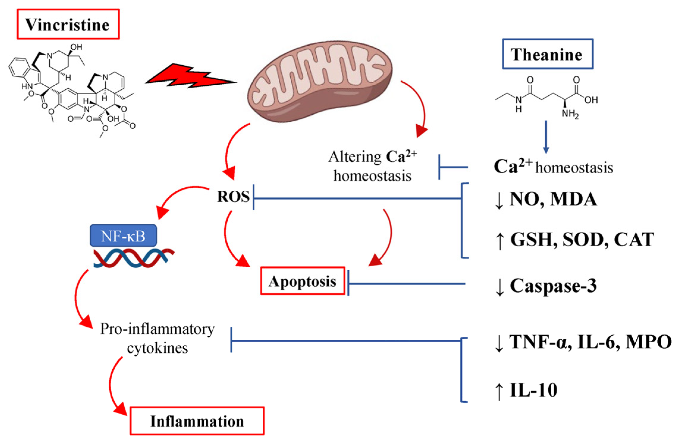 Antioxidants 12 00803 g009