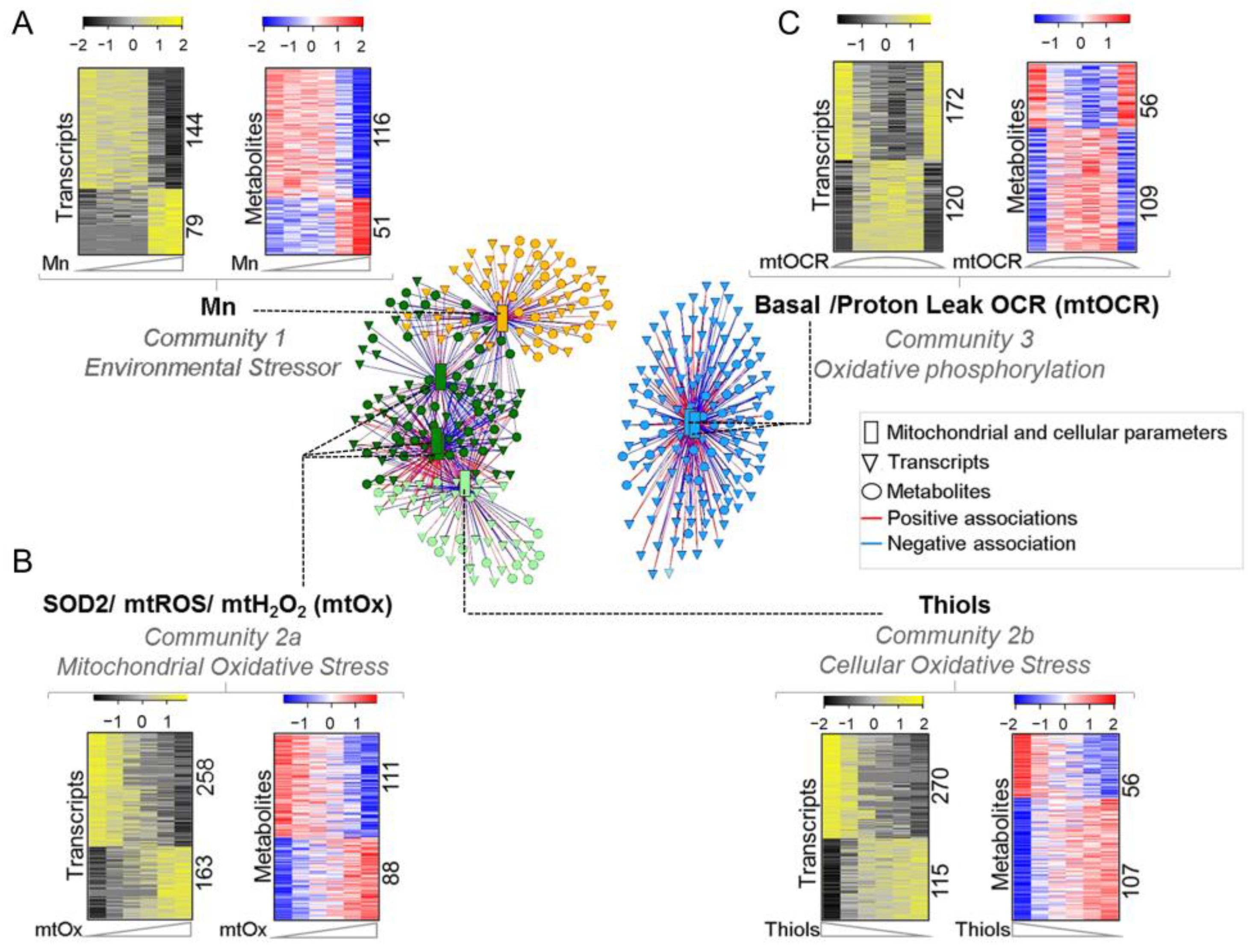 Antioxidants 12 00804 g001