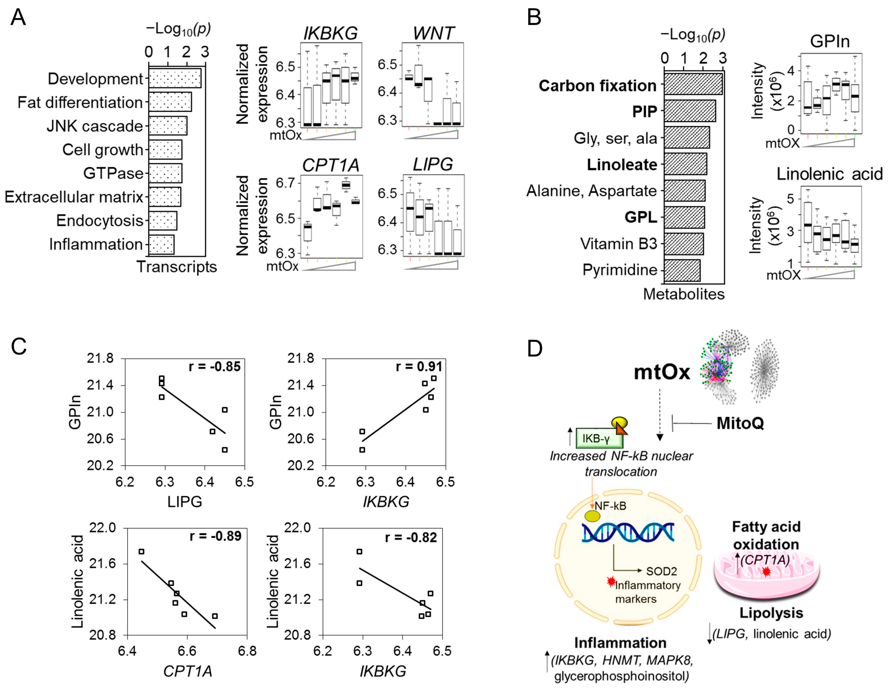Antioxidants 12 00804 g003