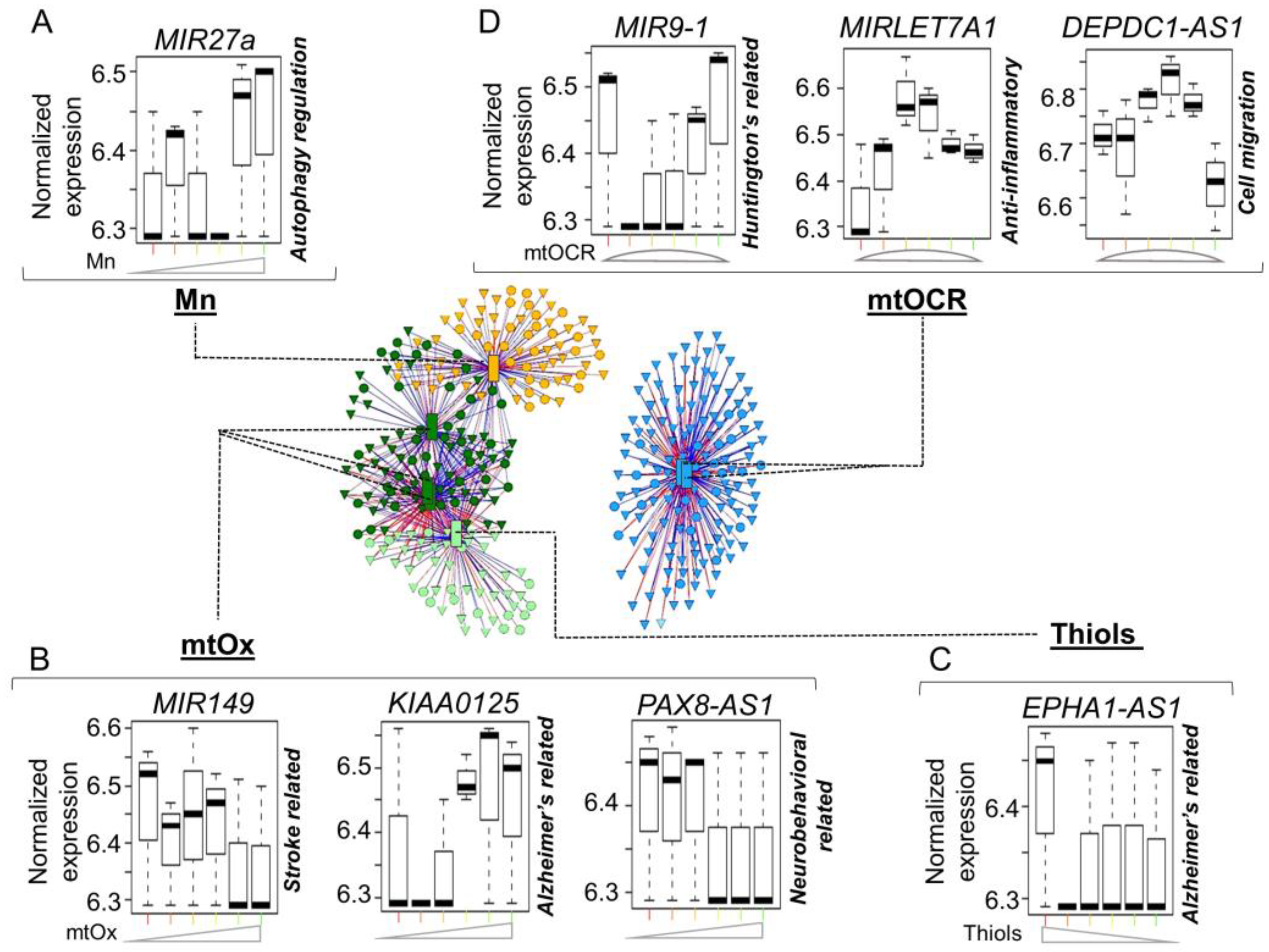 Antioxidants 12 00804 g006