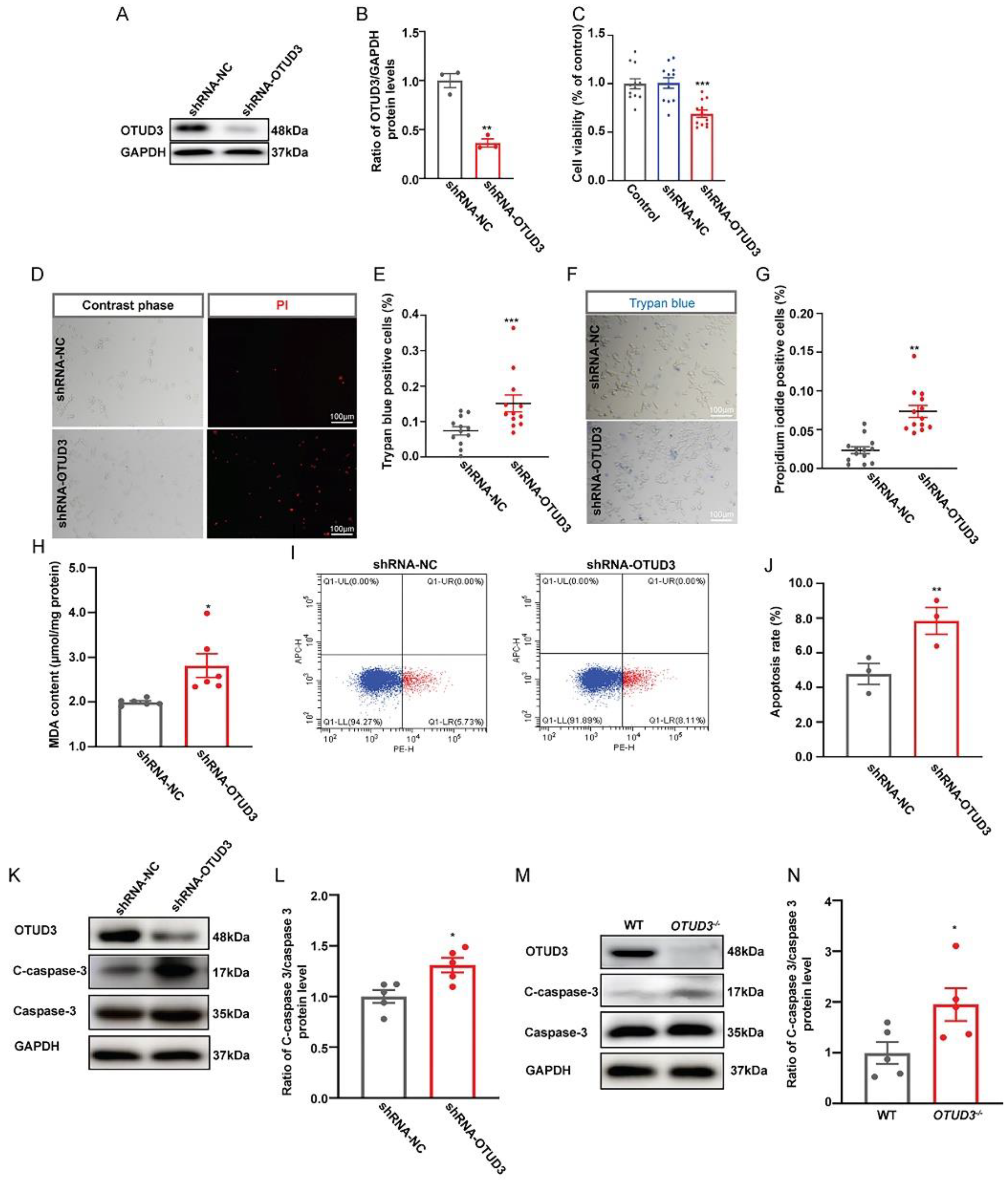 Antioxidants 12 00809 g001