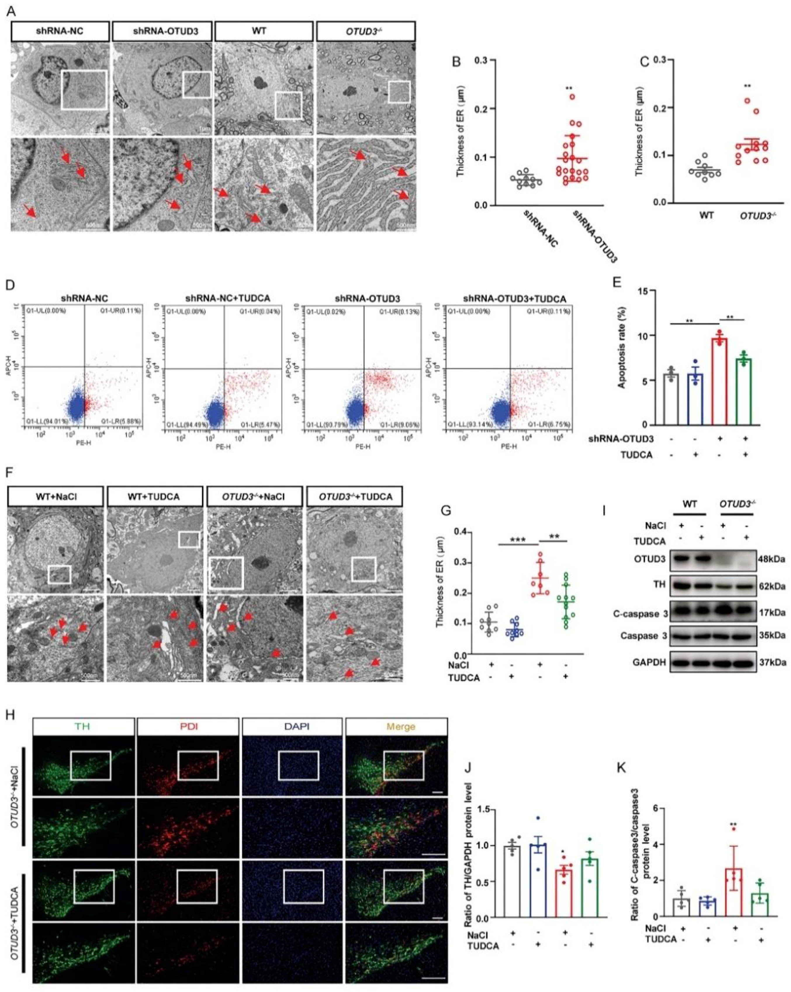 Antioxidants 12 00809 g002