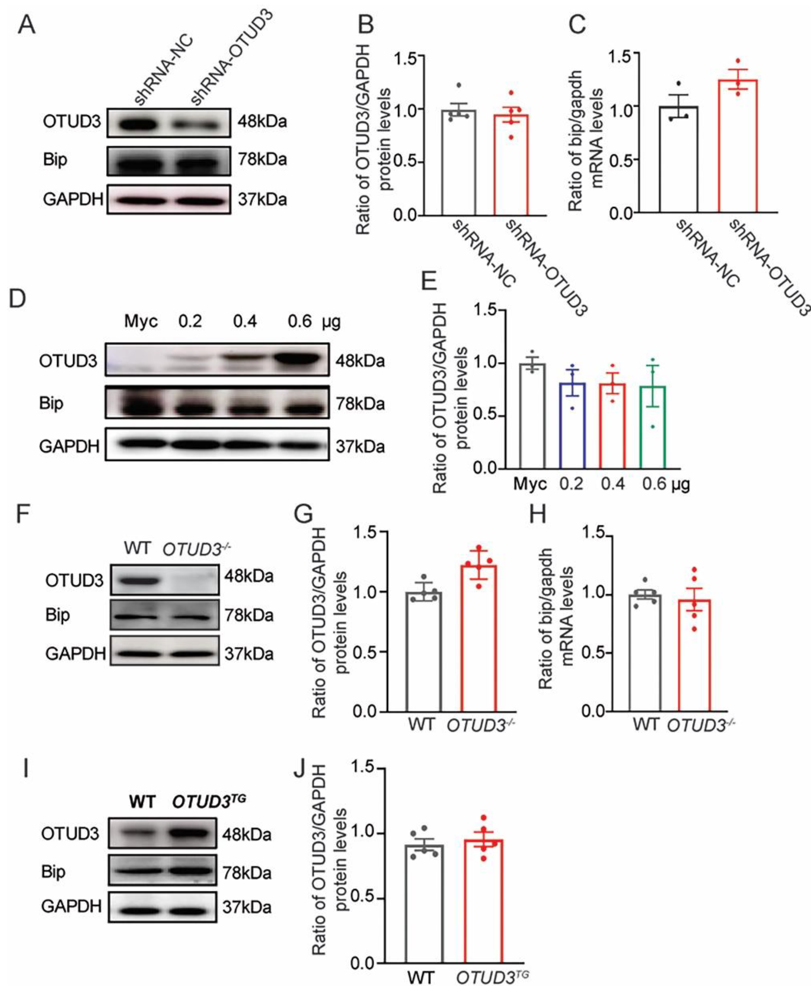 Antioxidants 12 00809 g003
