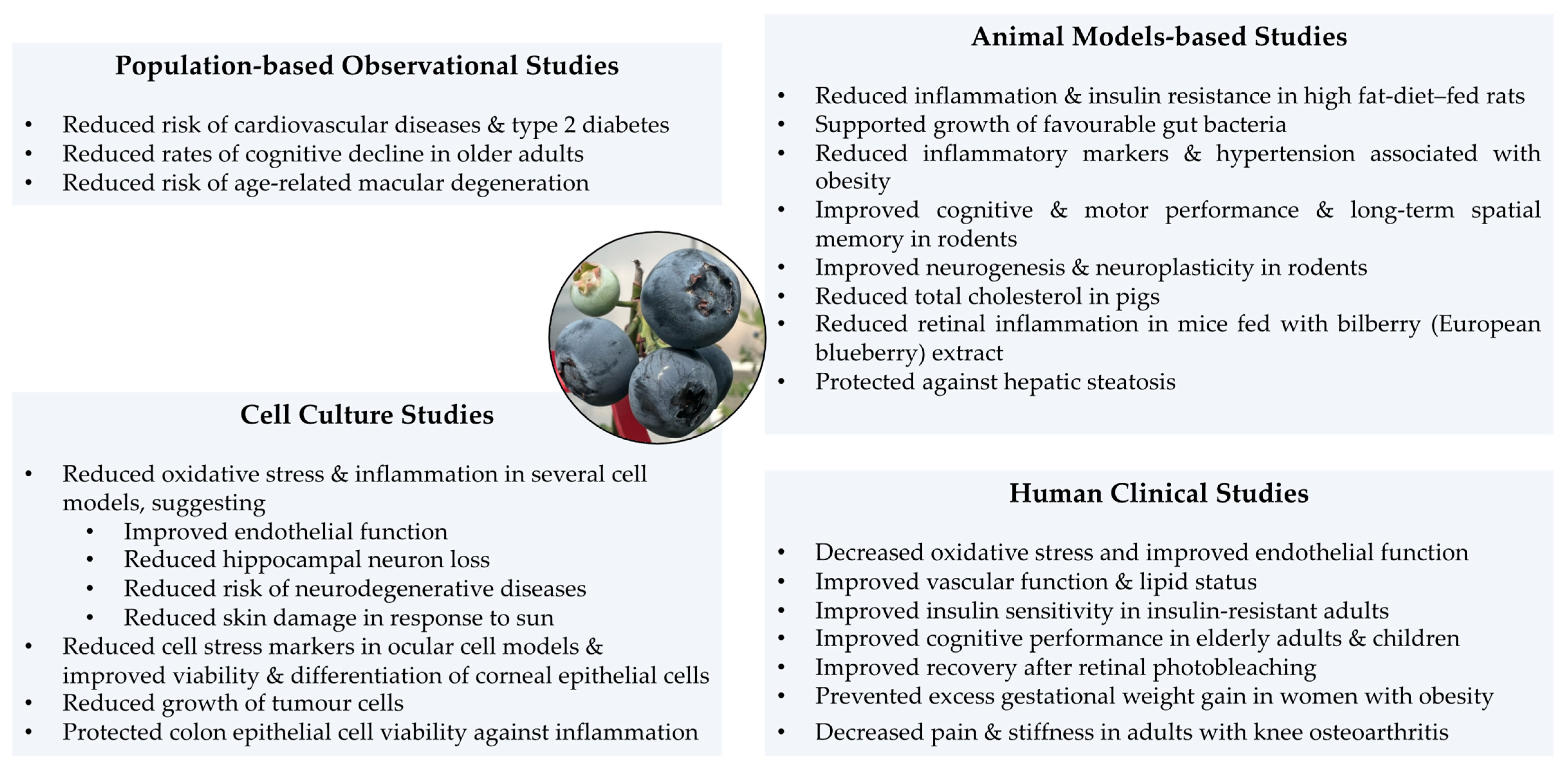 Antioxidants 12 00810 g002 Antioxidants 12 00810 g002