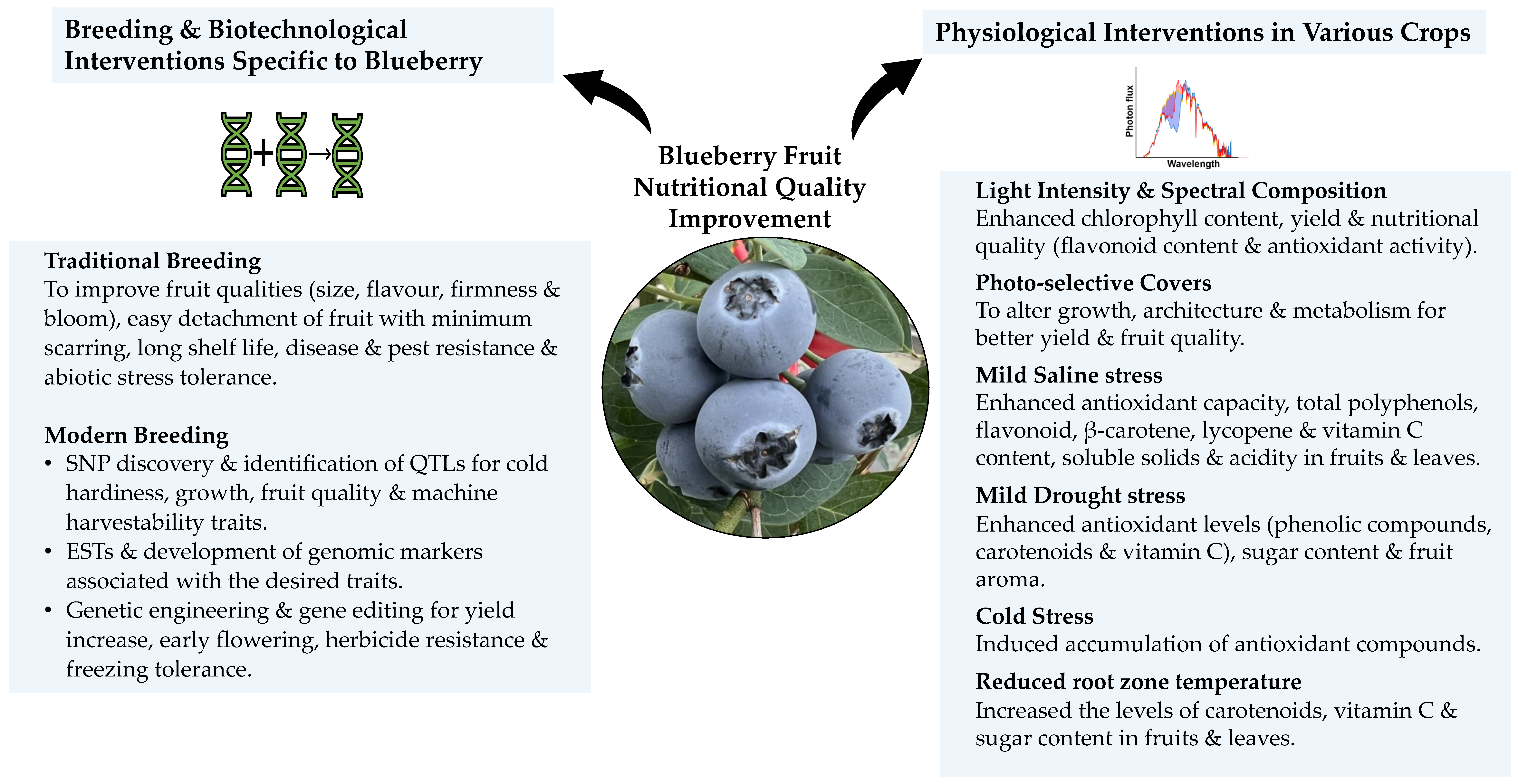 Antioxidants 12 00810 g004 Antioxidants 12 00810 g004