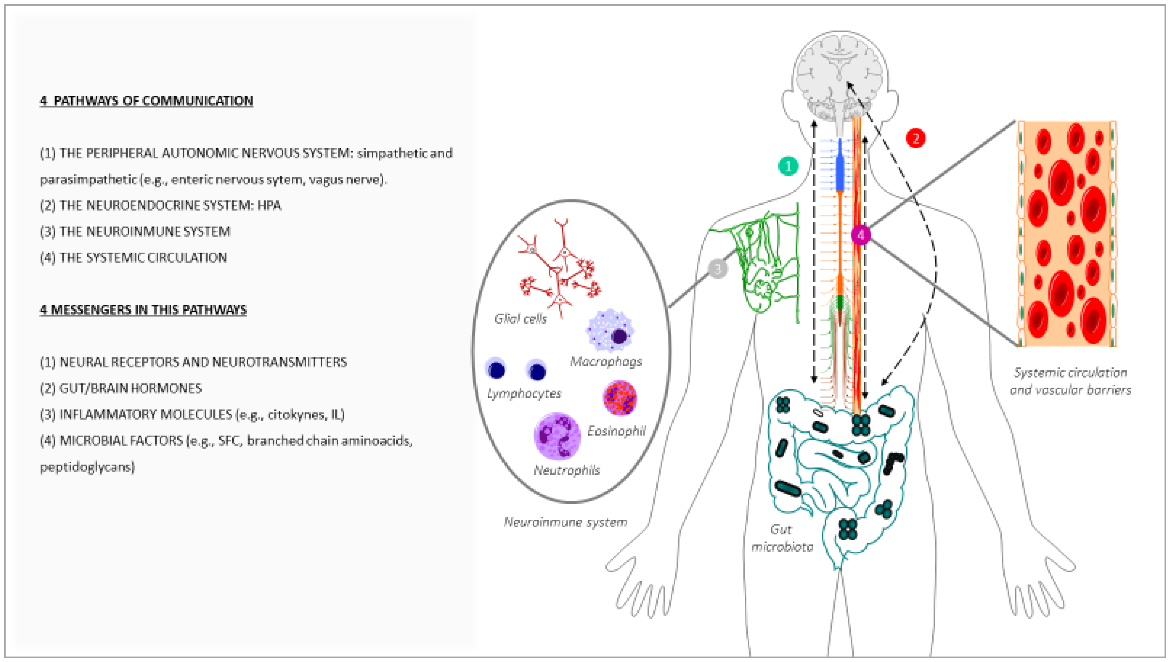 Antioxidants 12 00812 g001 Antioxidants 12 00812 g001