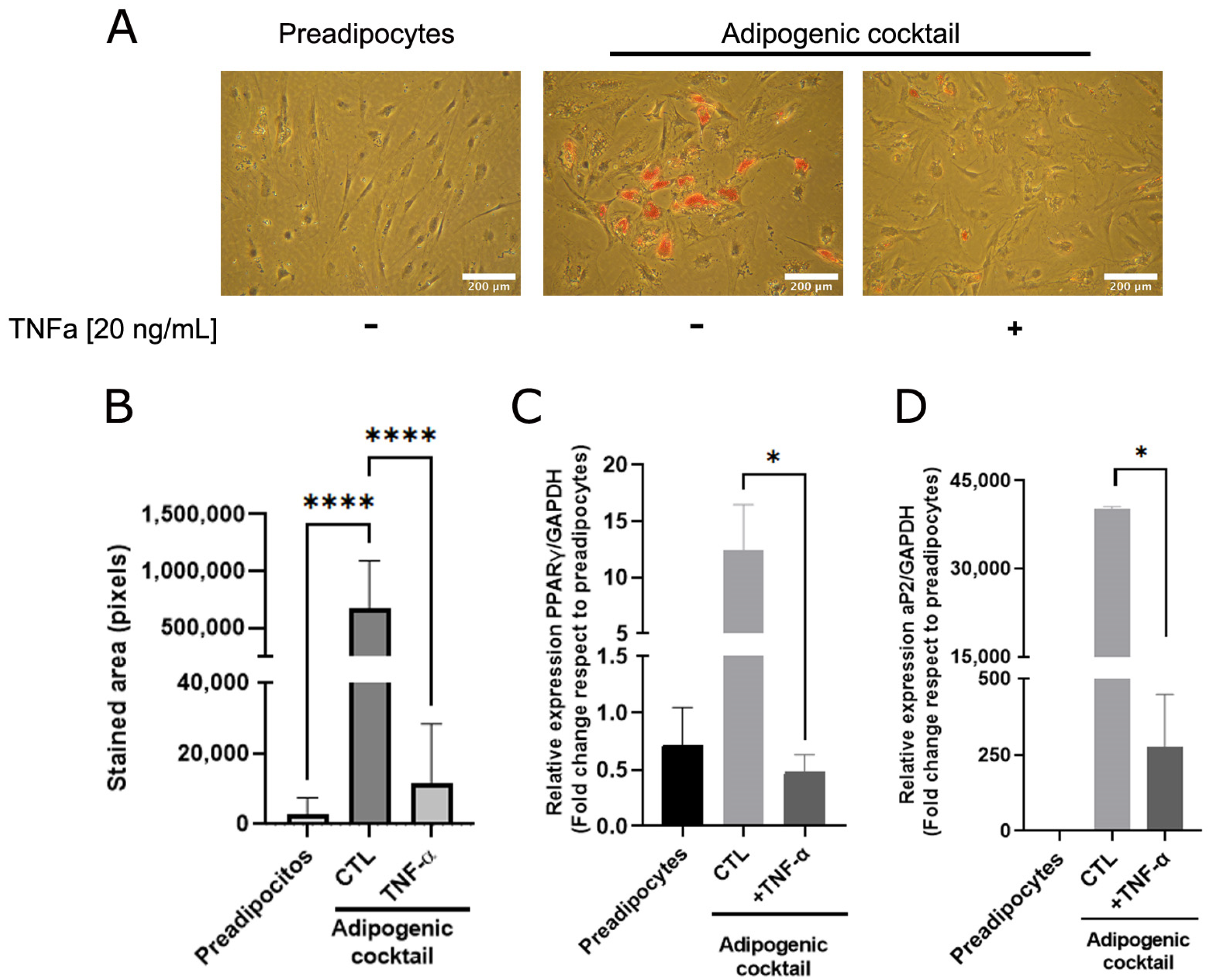 Antioxidants 12 00813 g001