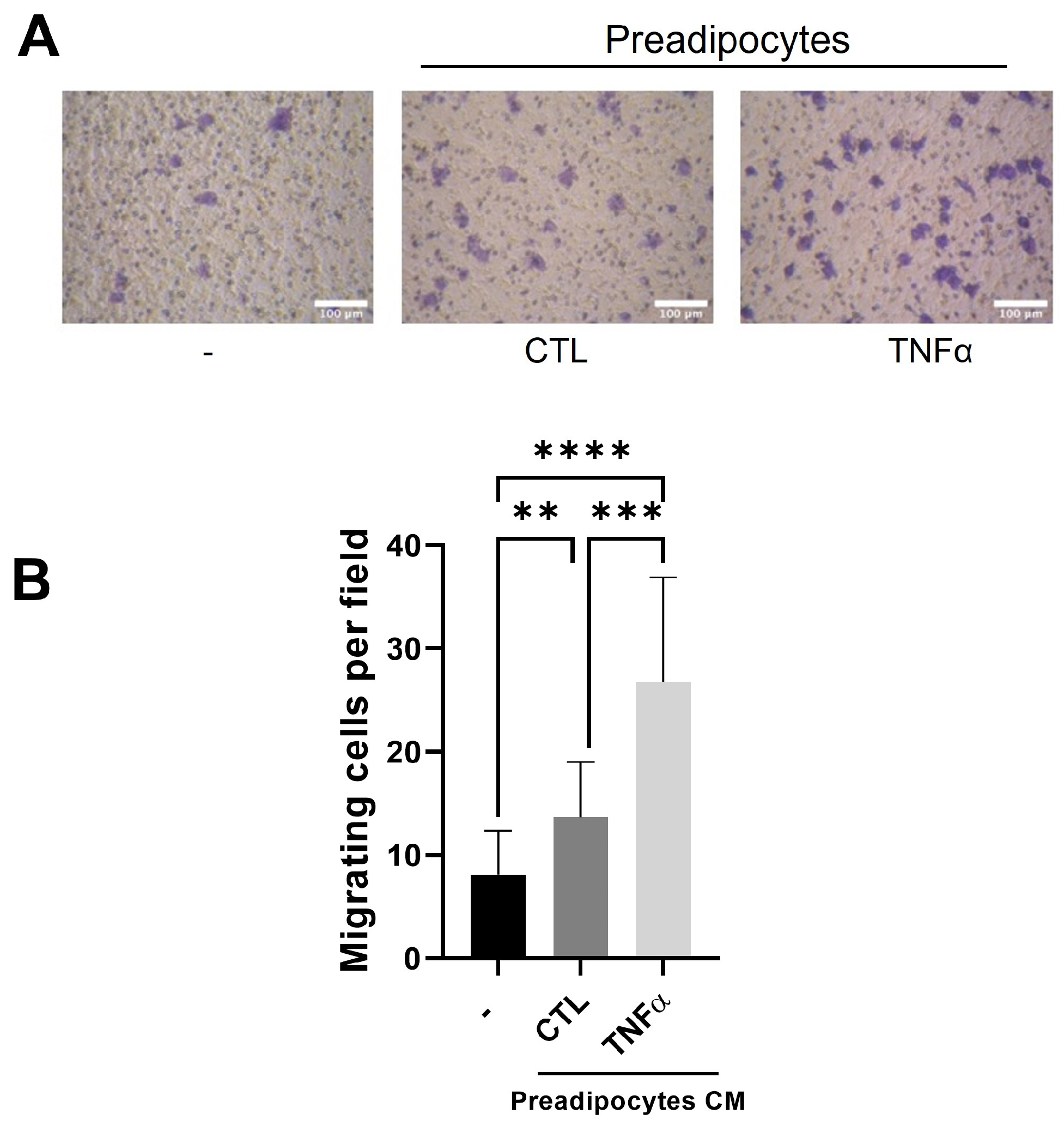 Antioxidants 12 00813 g002