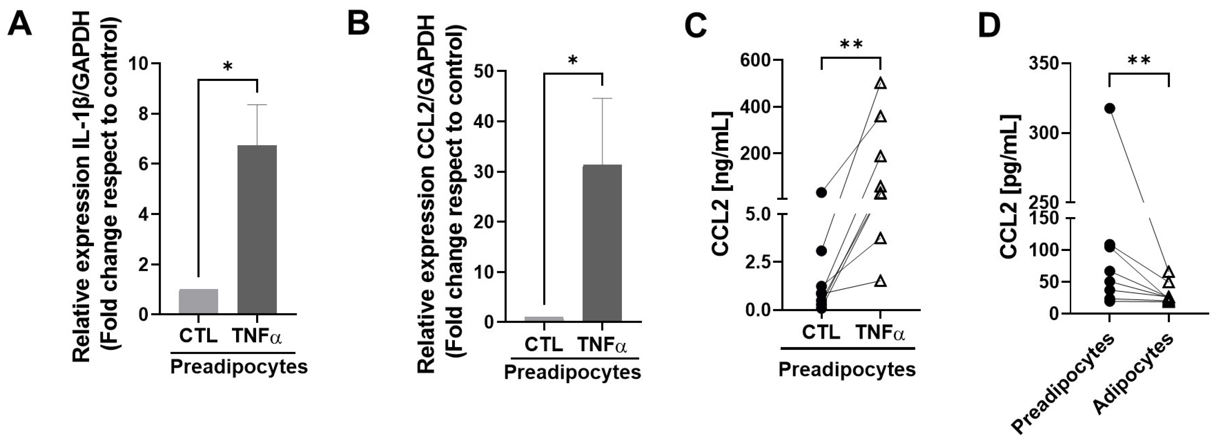 Antioxidants 12 00813 g003