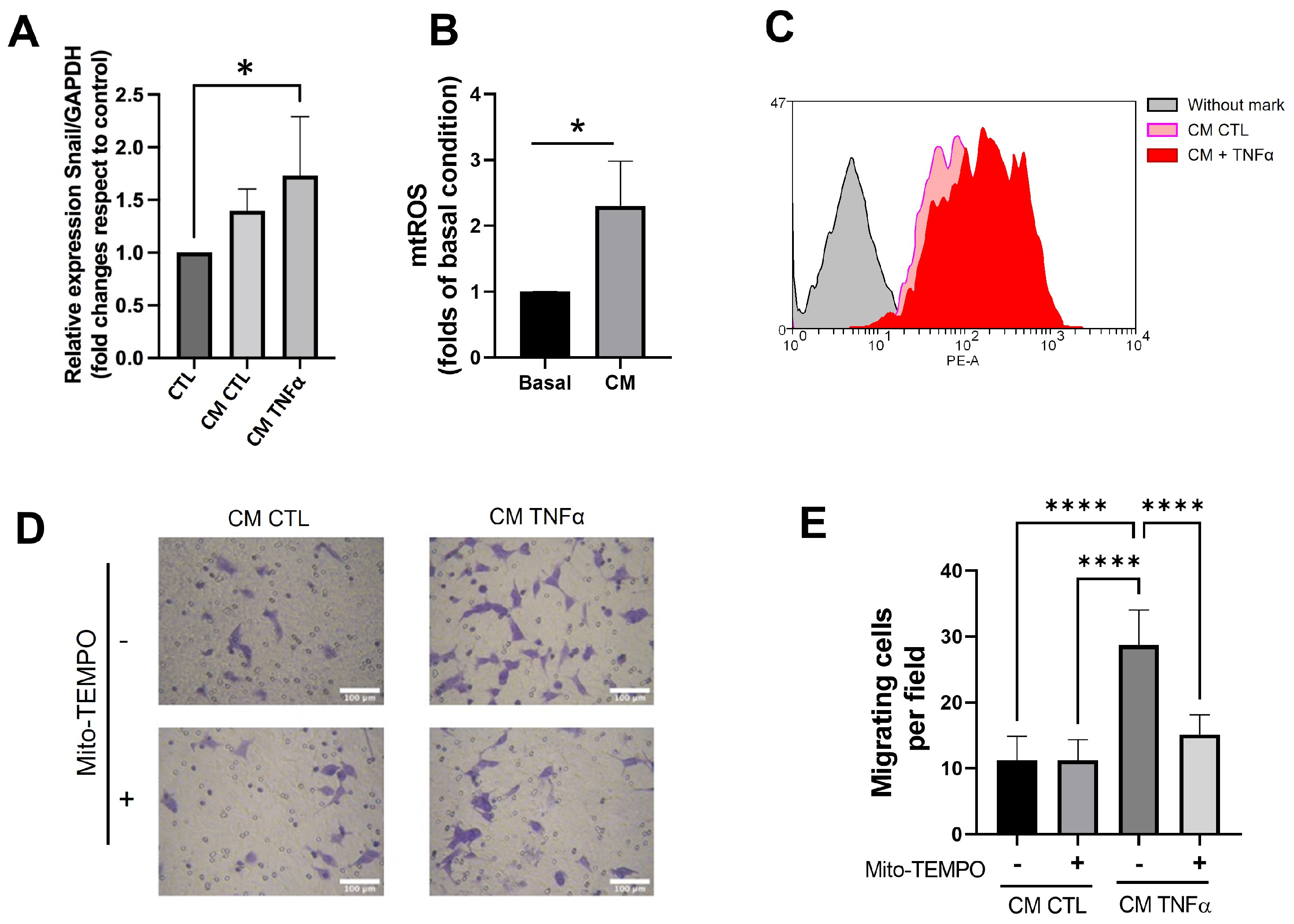 Antioxidants 12 00813 g006