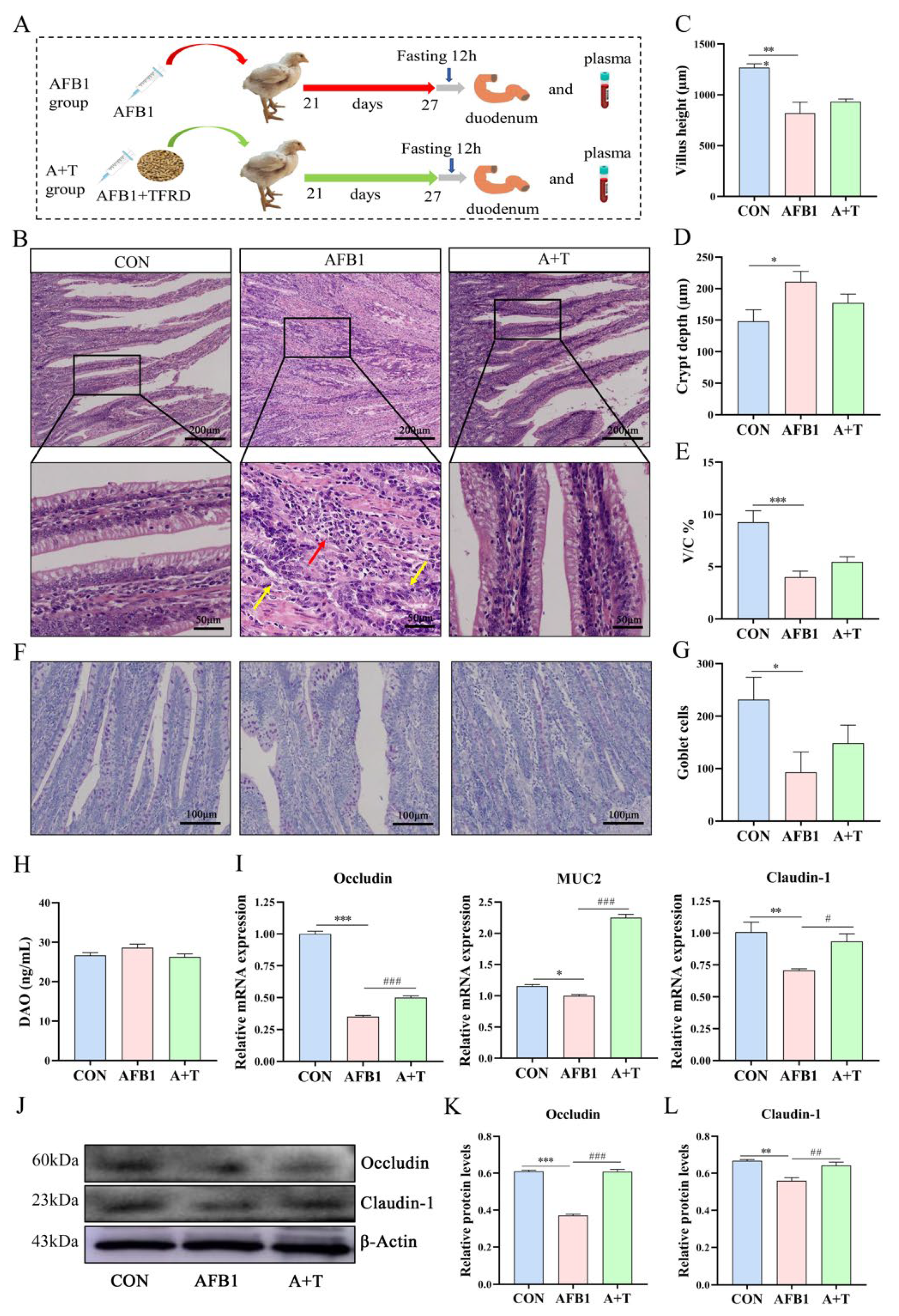 Antioxidants 12 00819 g003