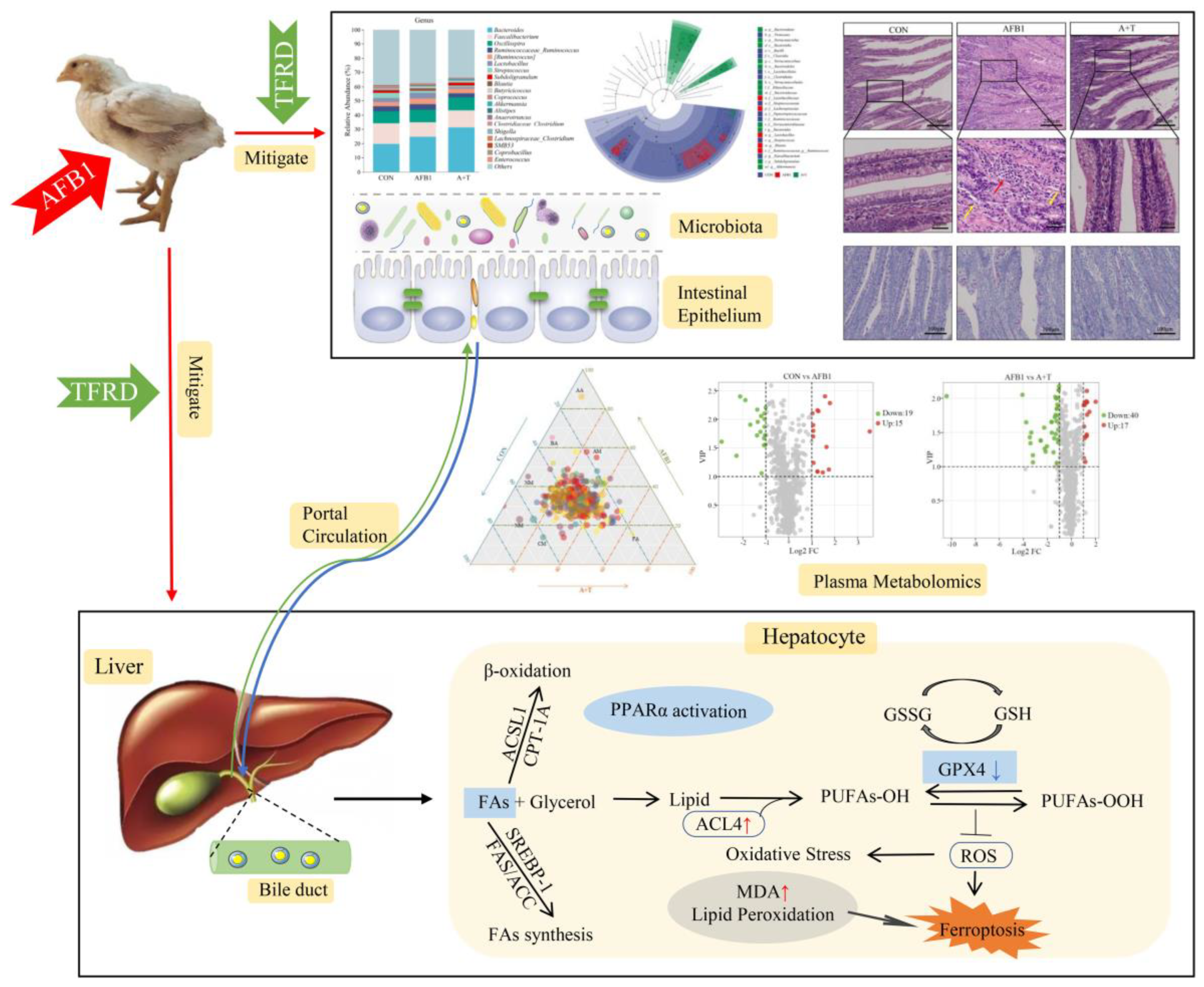 Antioxidants 12 00819 g008