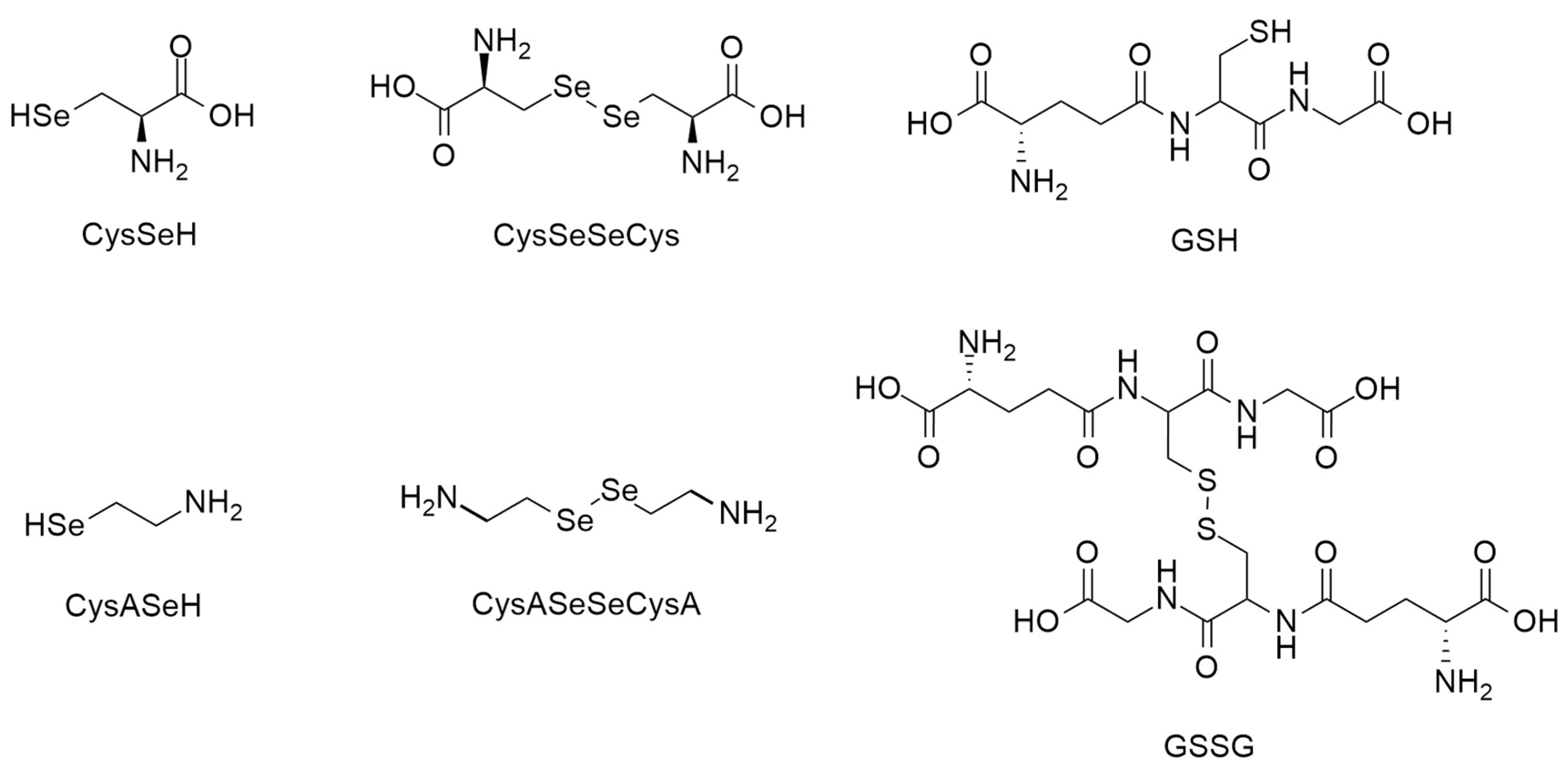 Antioxidants 12 00822 g004 Antioxidants 12 00822 g004