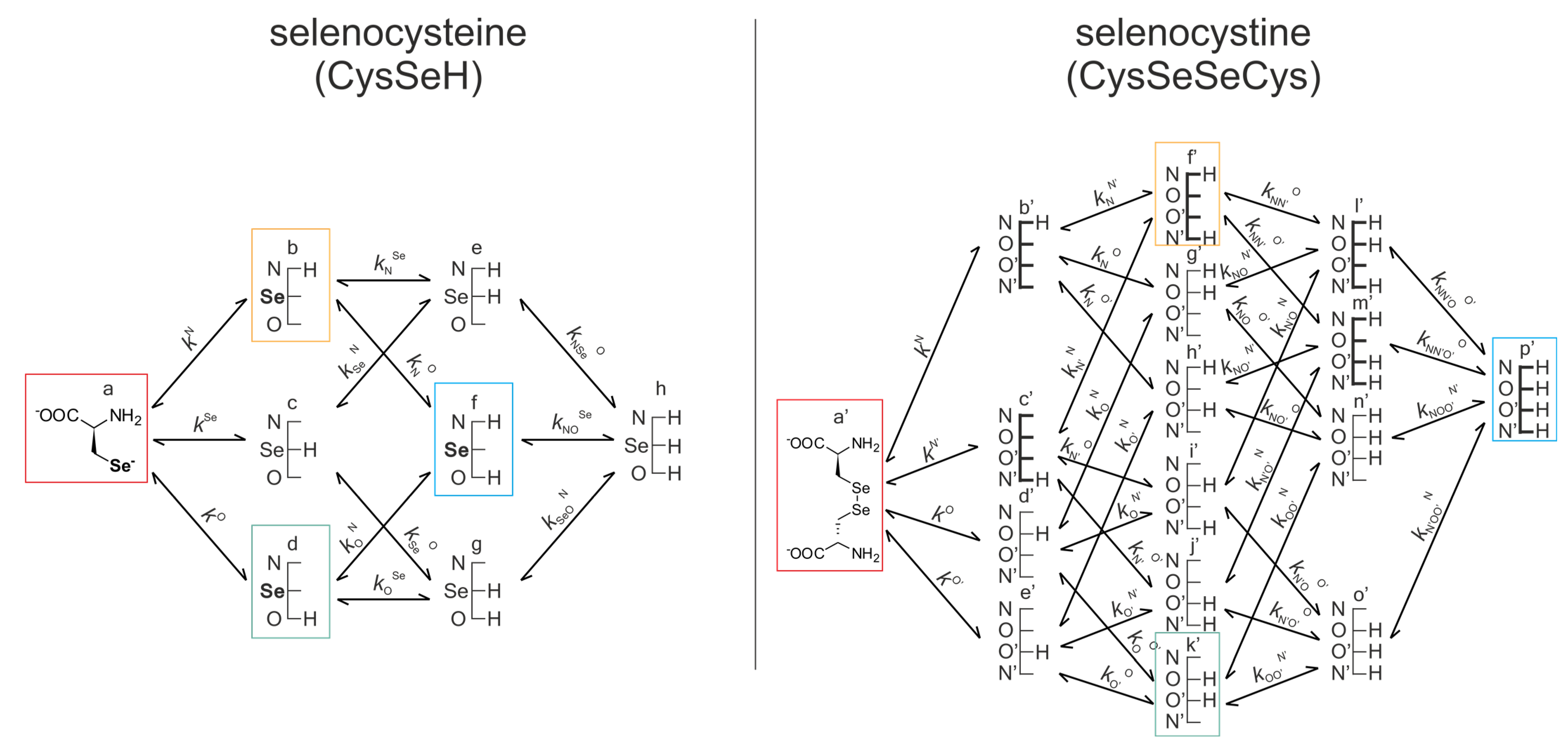 Antioxidants 12 00822 g007 Antioxidants 12 00822 g007
