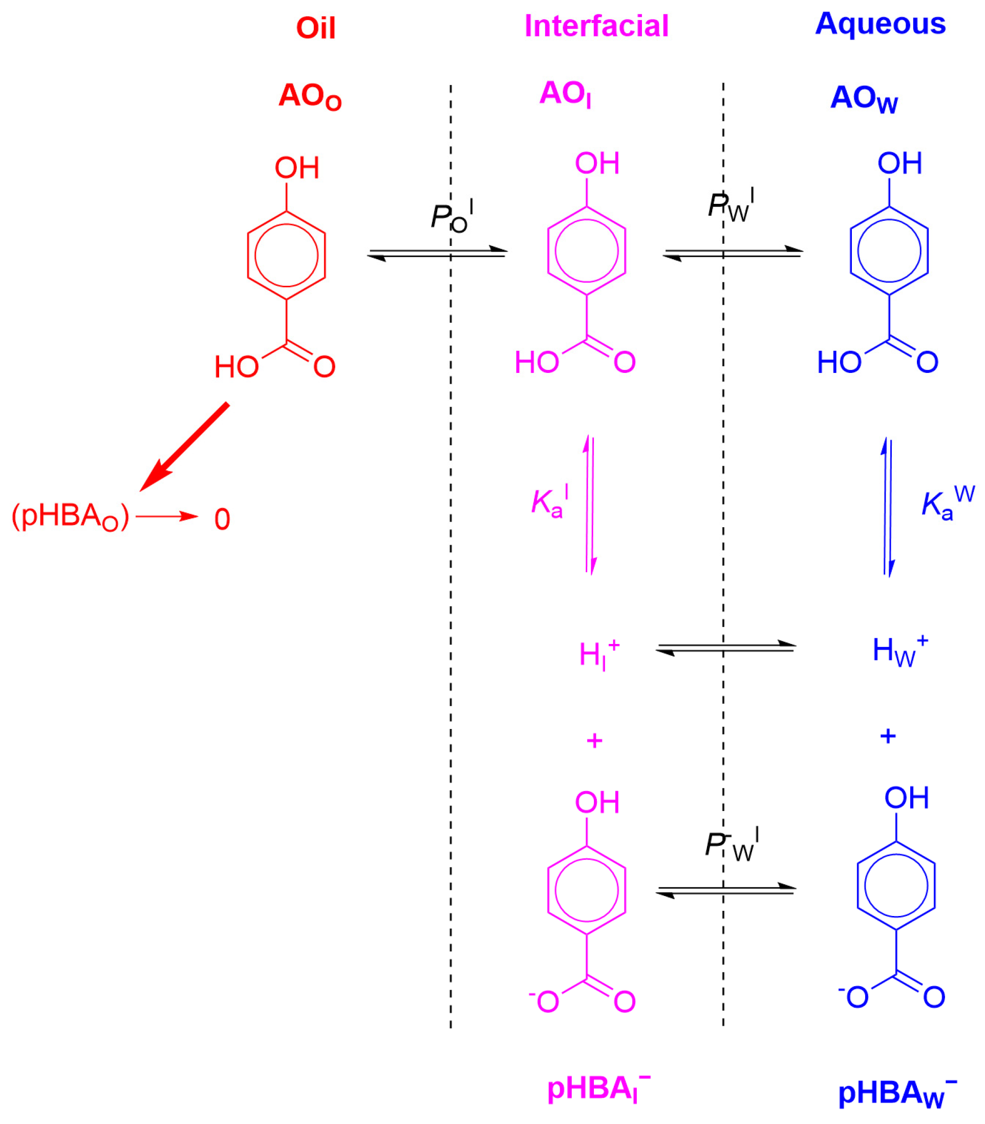 Antioxidants 12 00828 g012