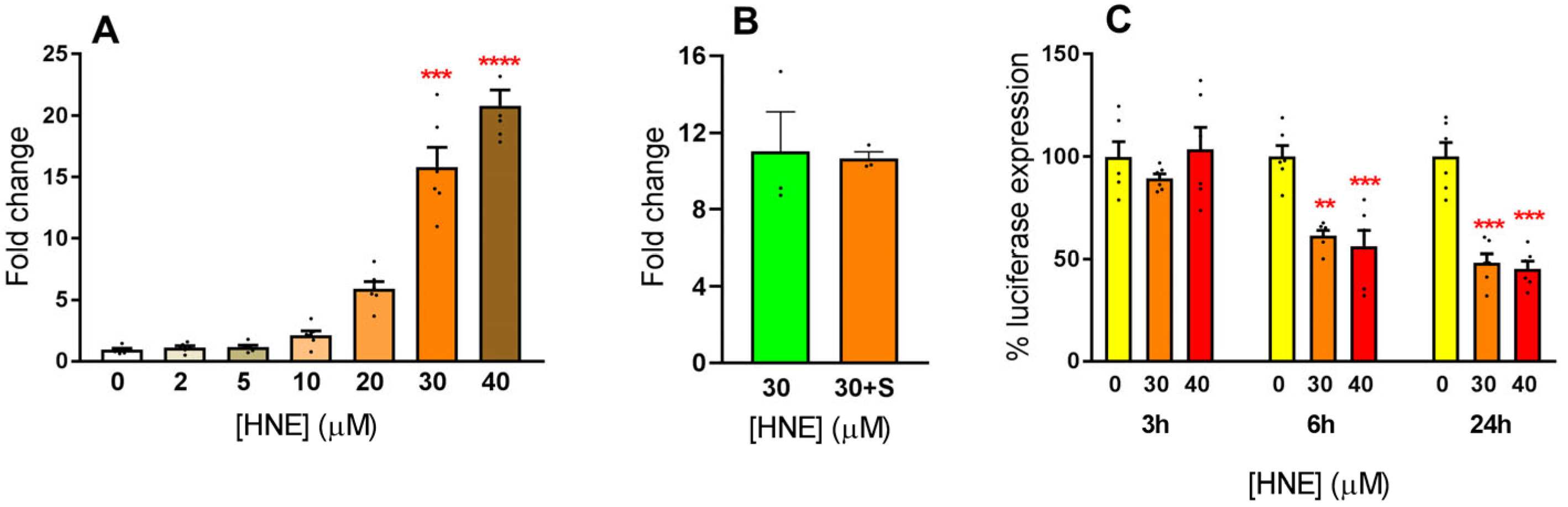 Antioxidants 12 00829 g009 Antioxidants 12 00829 g009