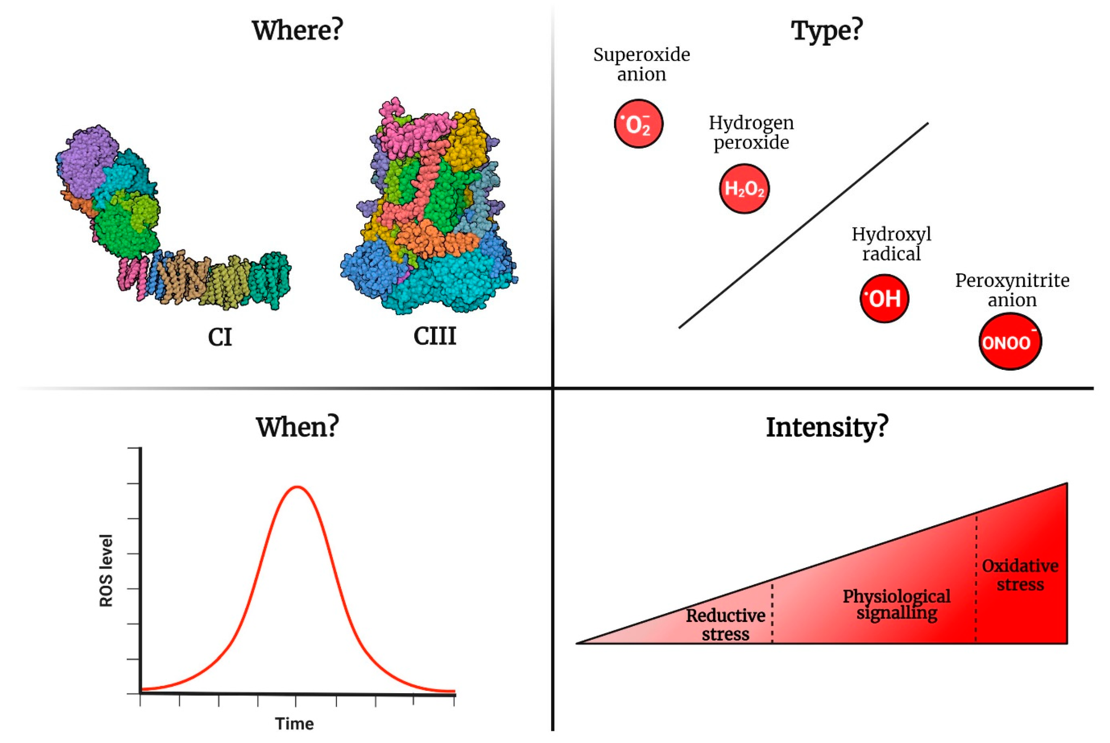 Antioxidants 12 00831 g003