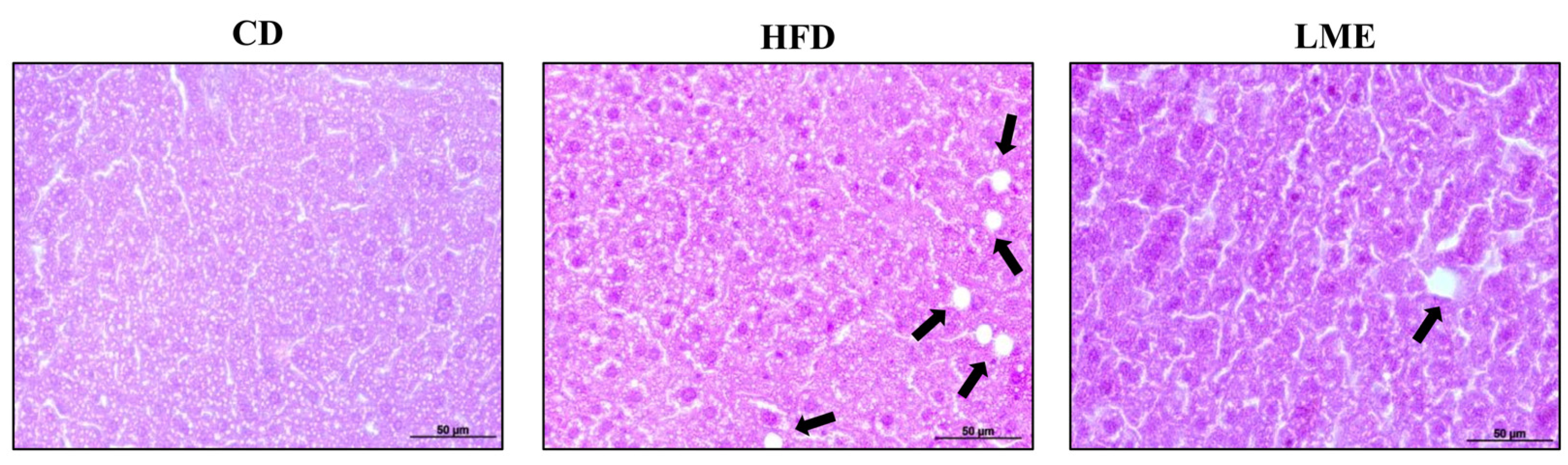Antioxidants 12 00832 g006