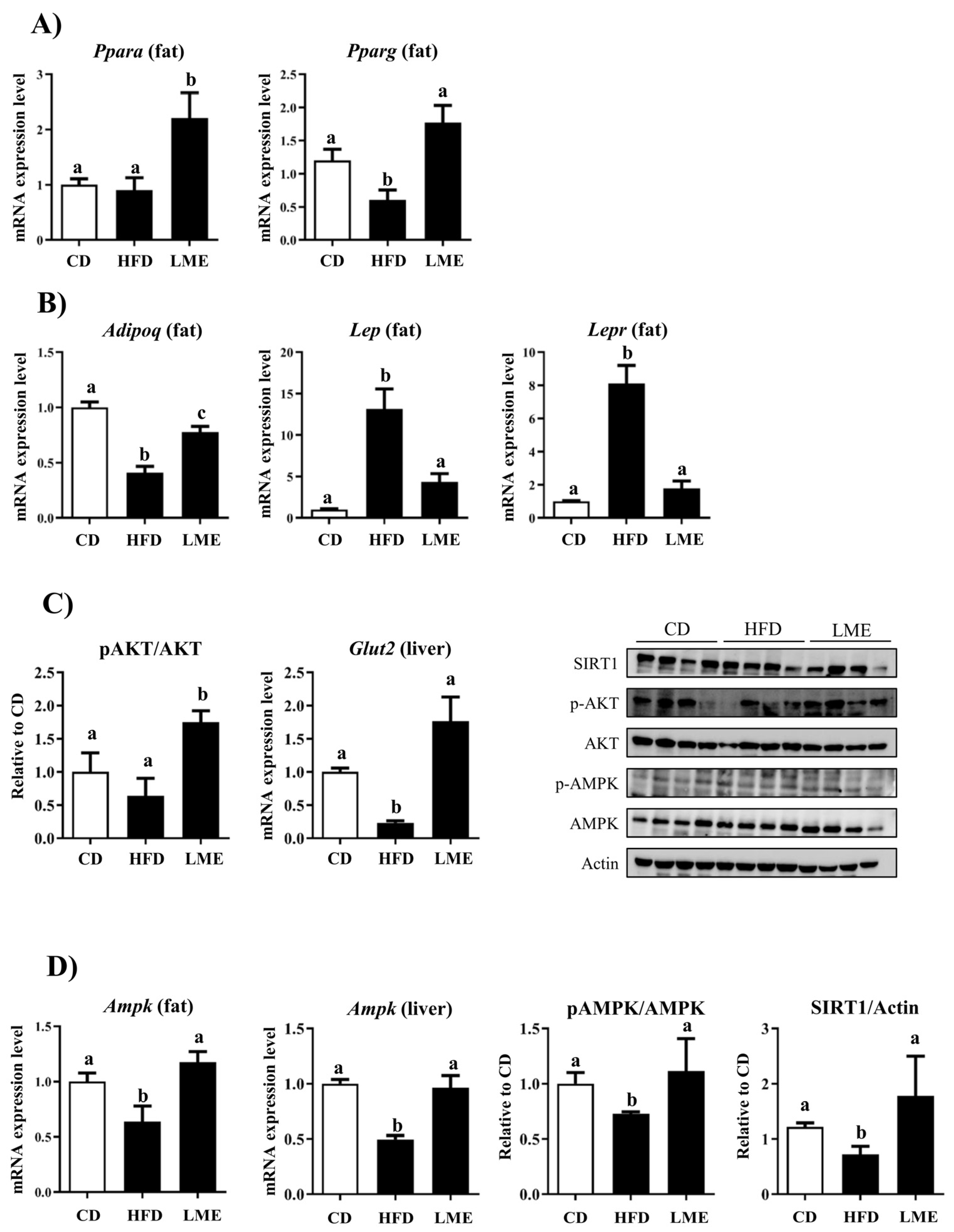 Antioxidants 12 00832 g008