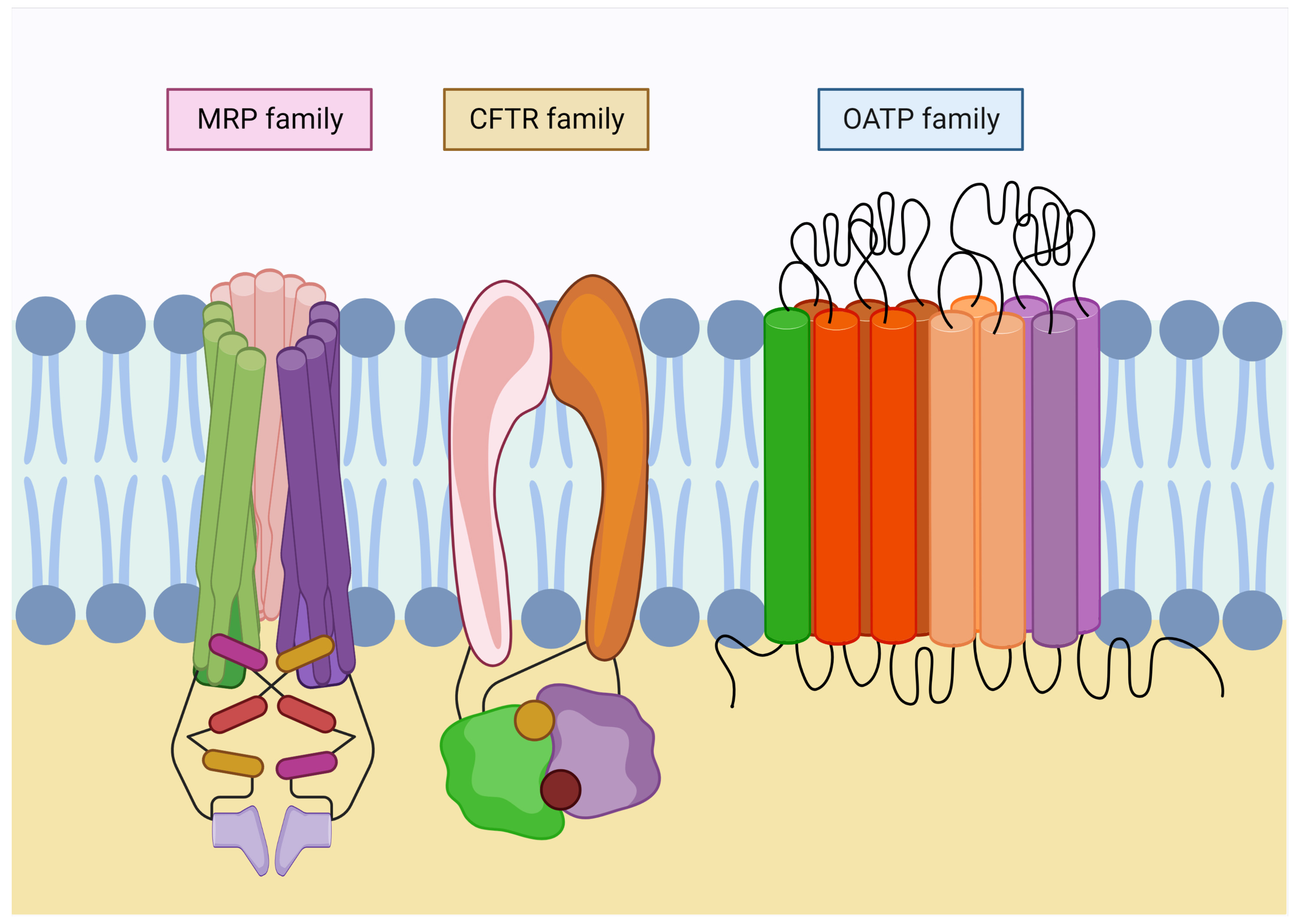 Antioxidants 12 00834 g003