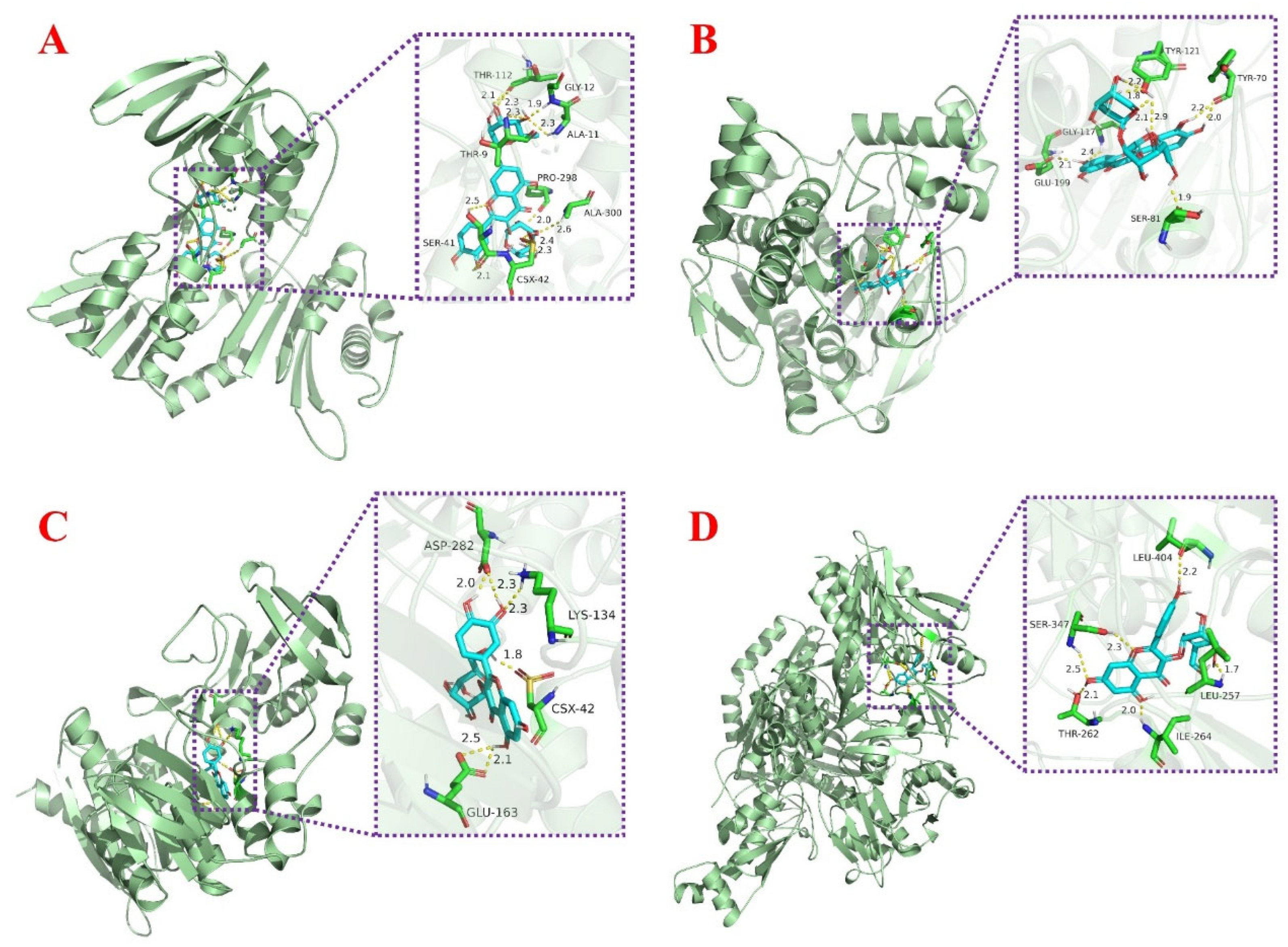 Antioxidants 12 00835 g007 Antioxidants 12 00835 g007