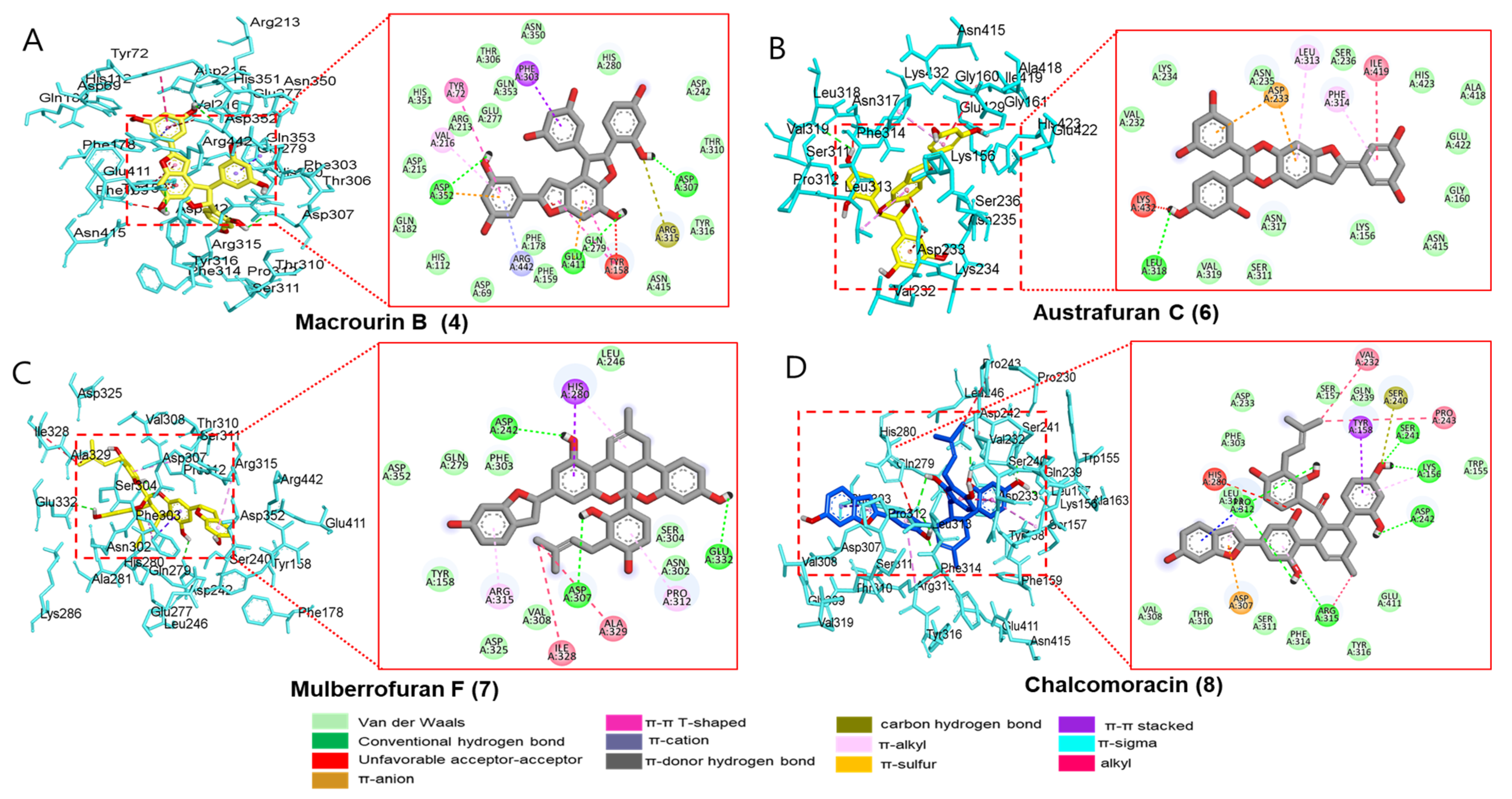Antioxidants 12 00837 g005
