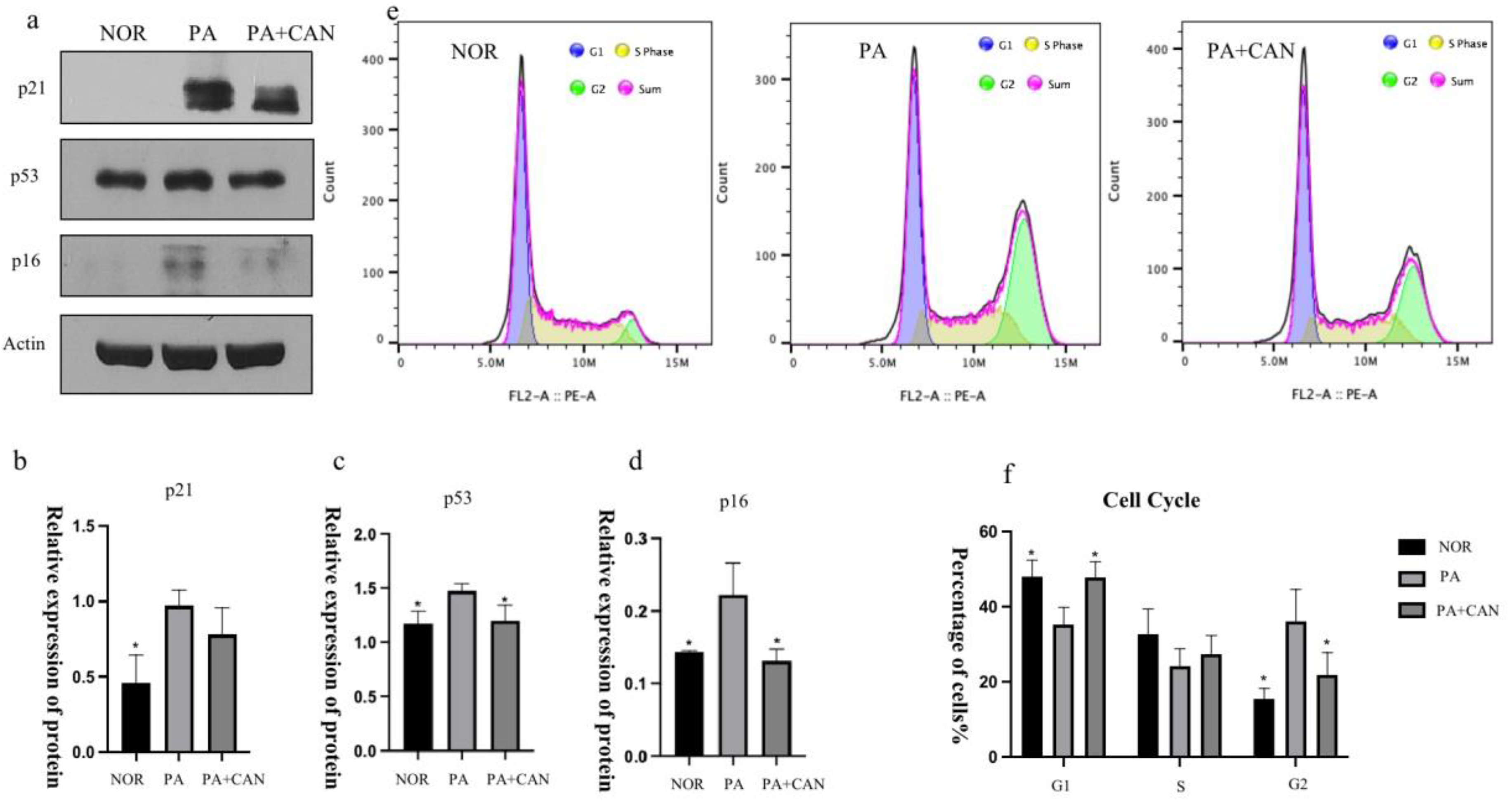 Antioxidants 12 00838 g005 Antioxidants 12 00838 g005