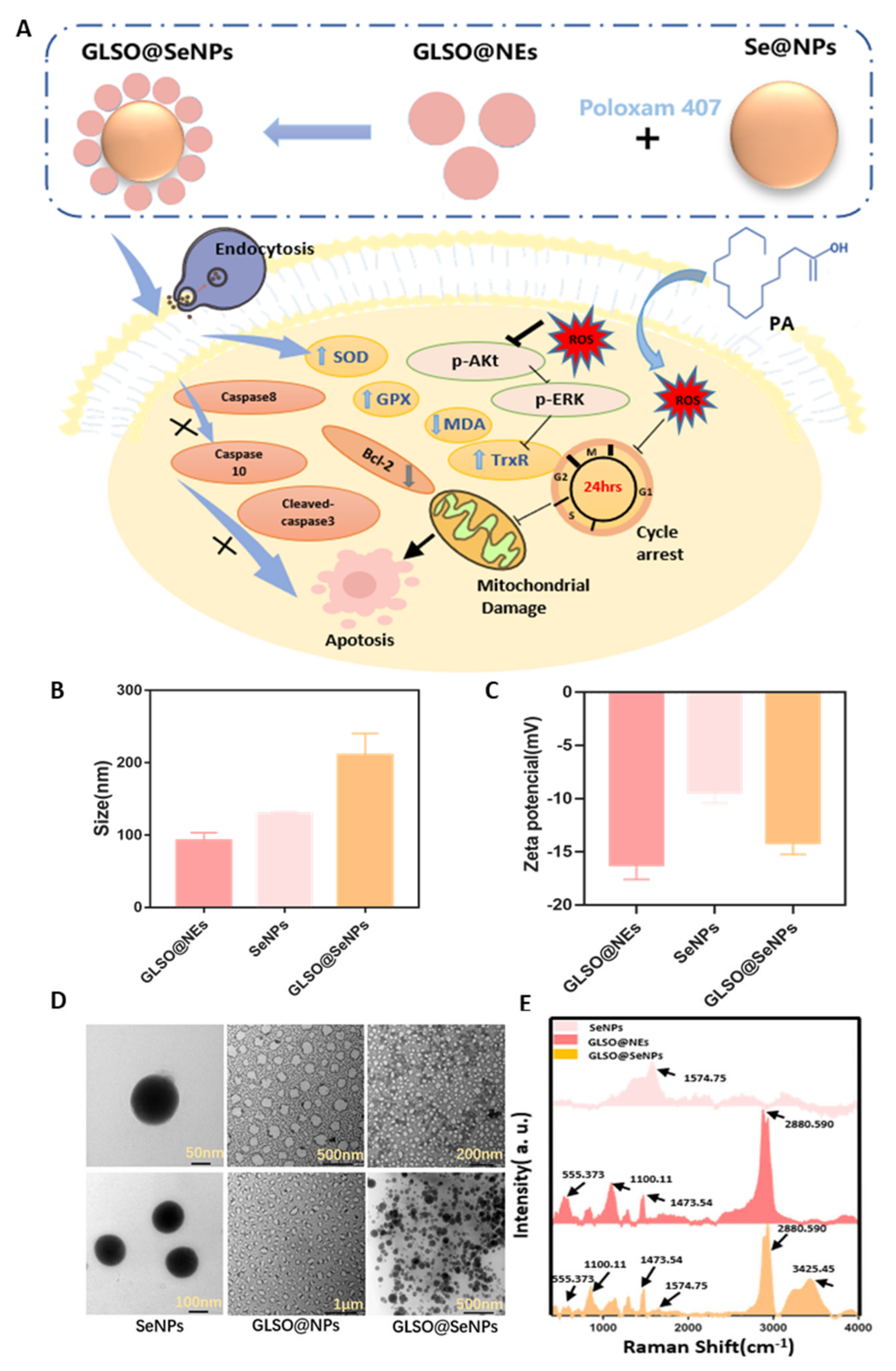 Antioxidants 12 00840 g001