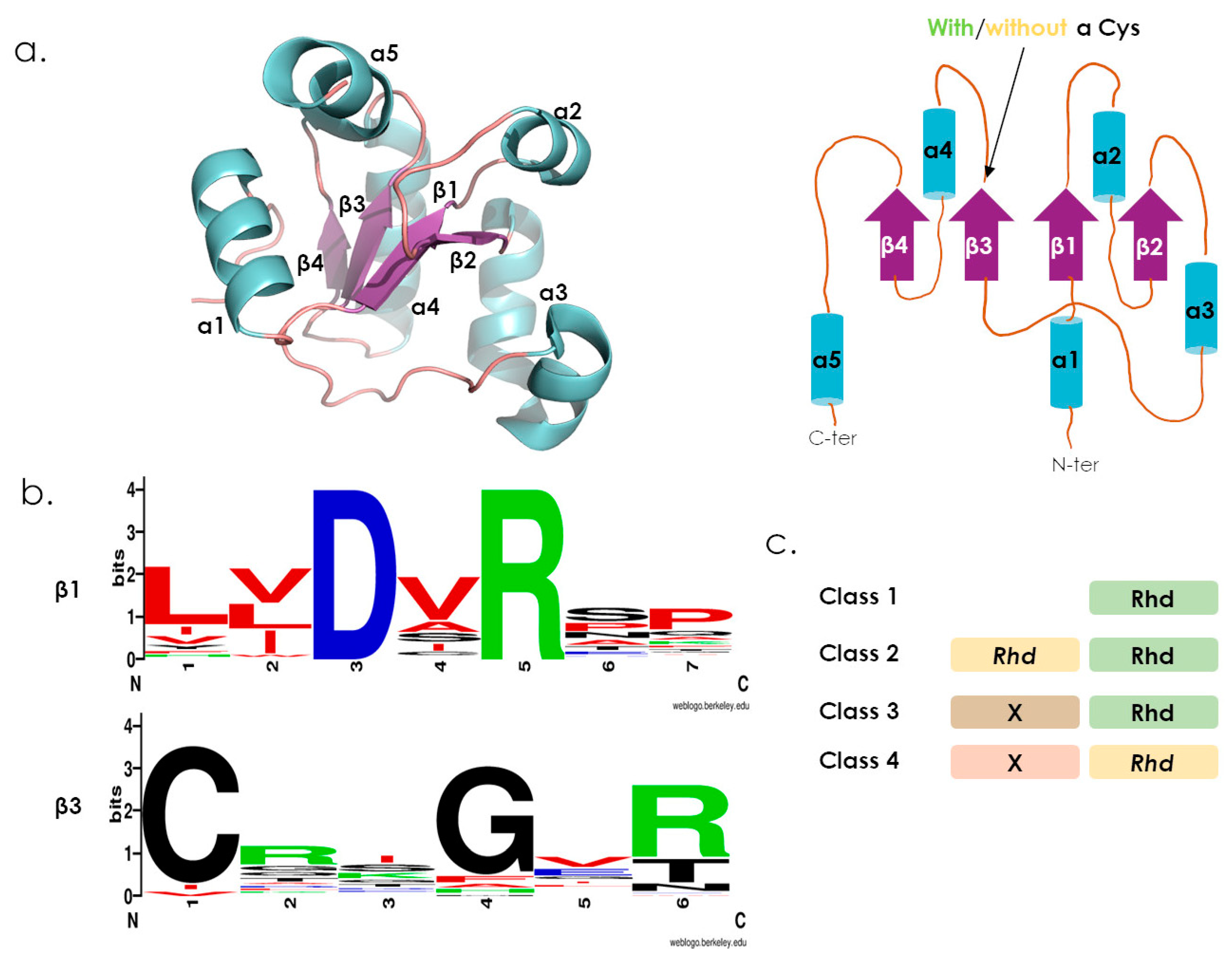 Antioxidants 12 00843 g001