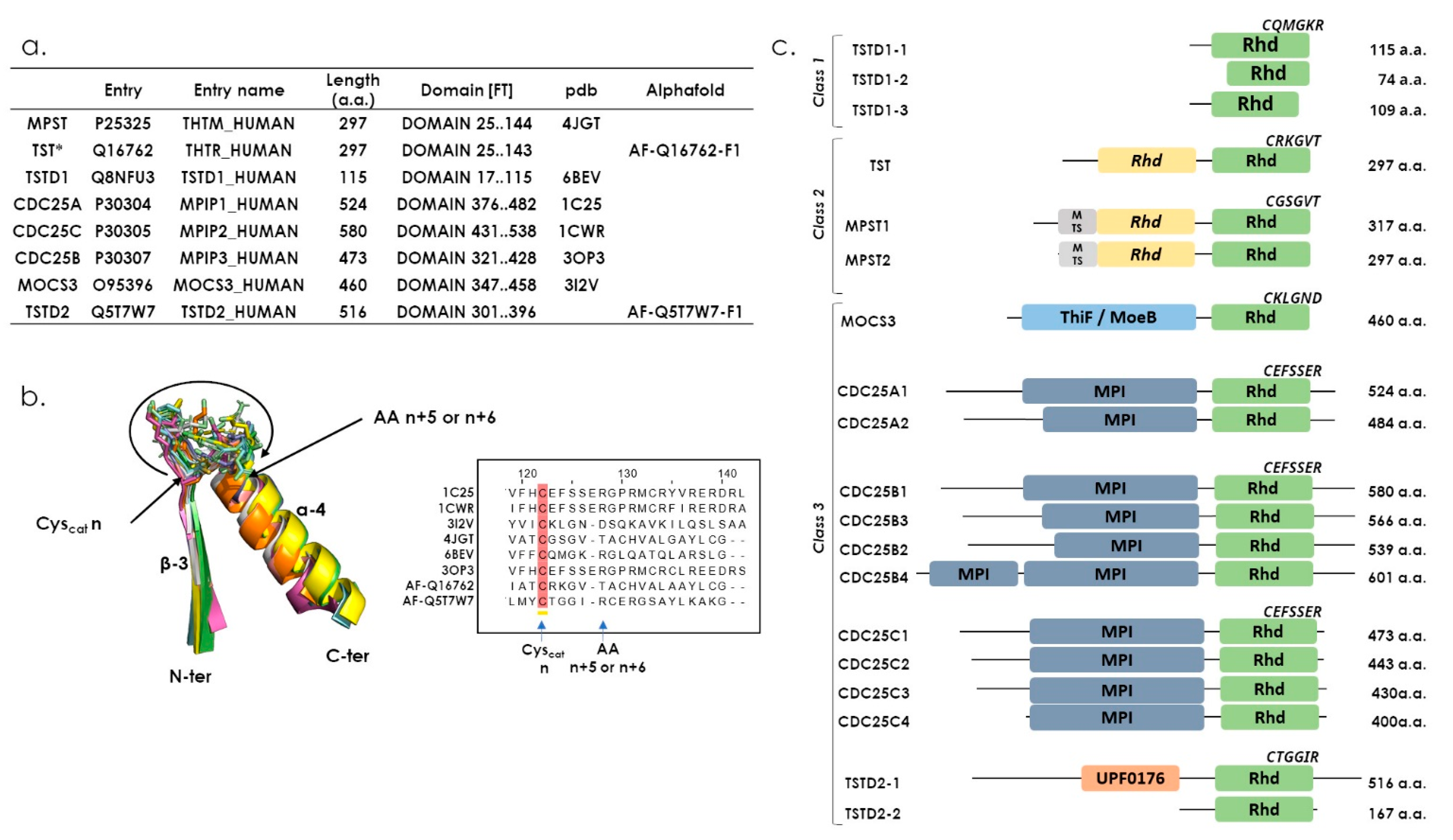 Antioxidants 12 00843 g003