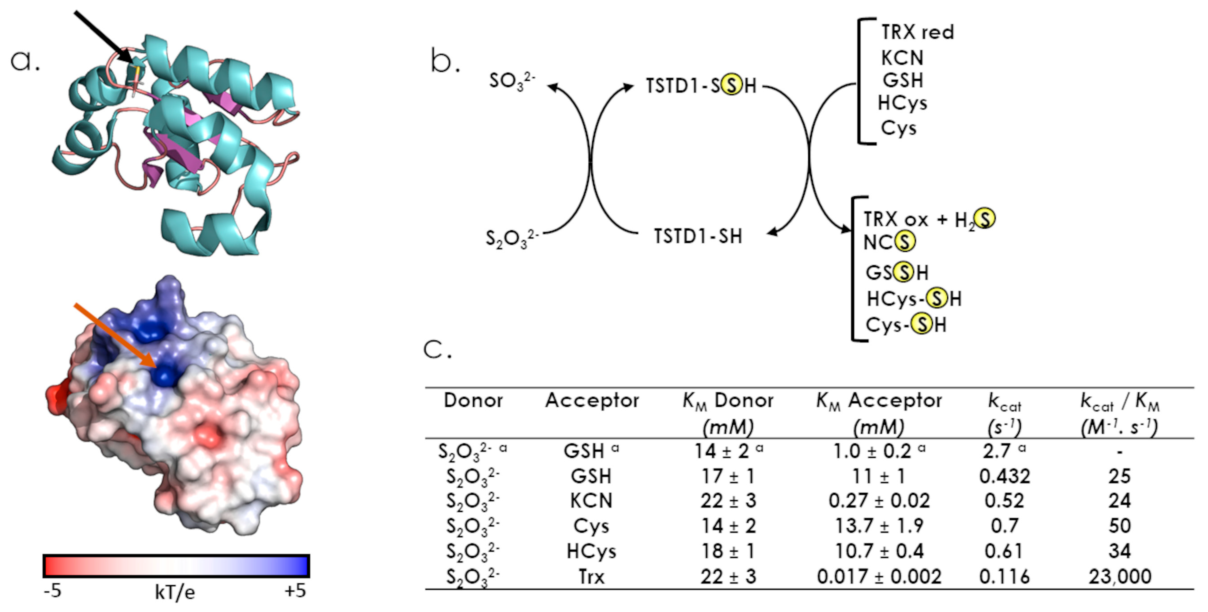 Antioxidants 12 00843 g005
