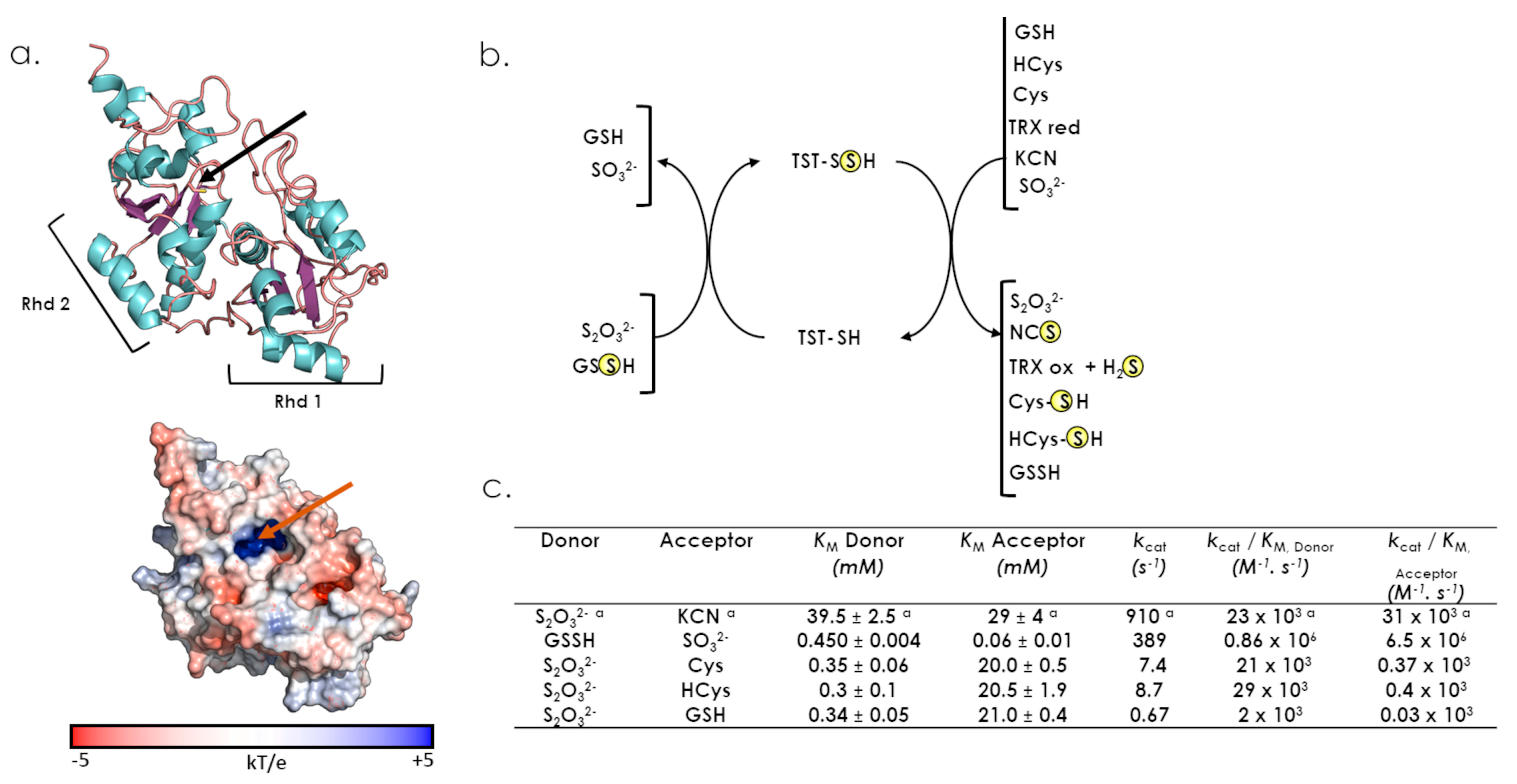 Antioxidants 12 00843 g006