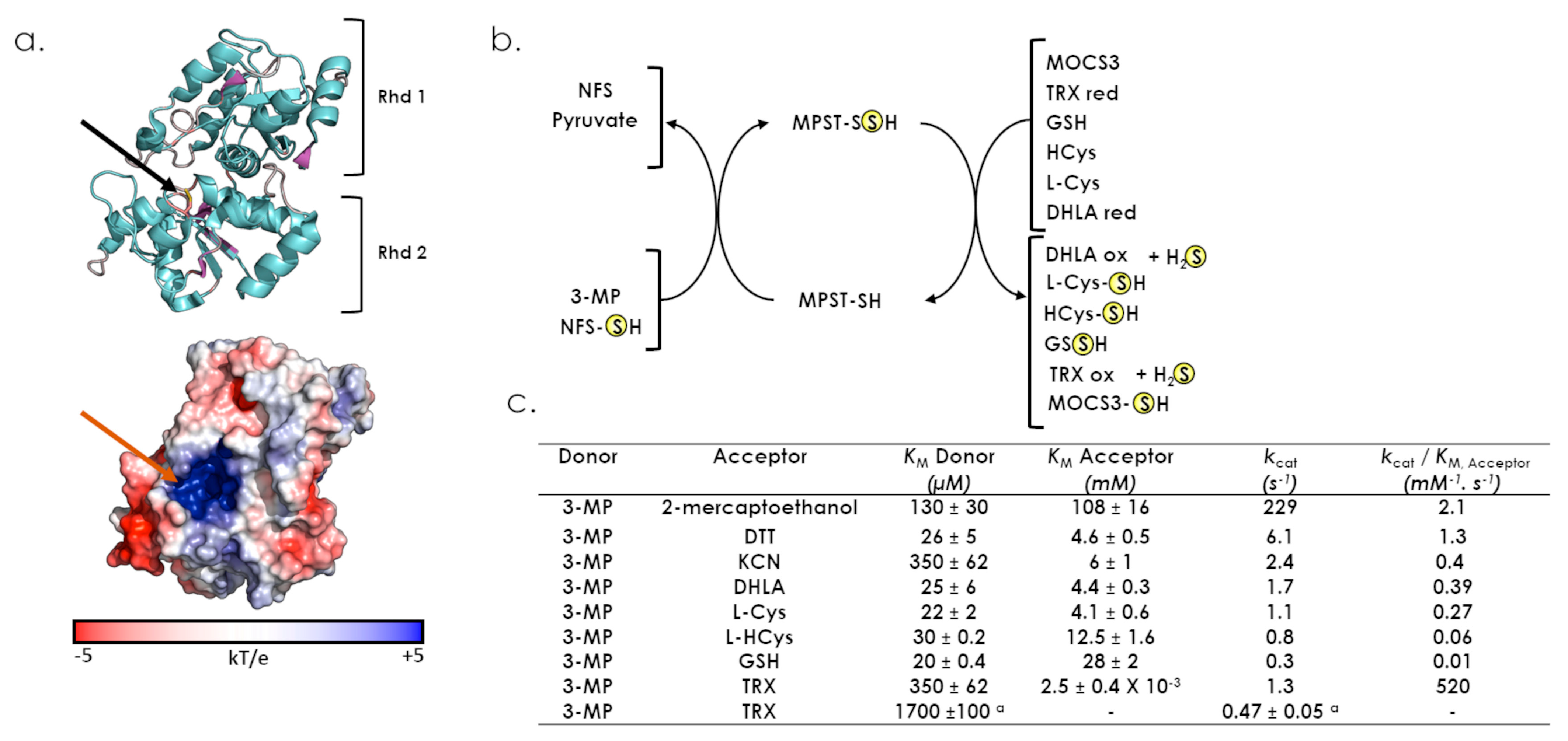 Antioxidants 12 00843 g007