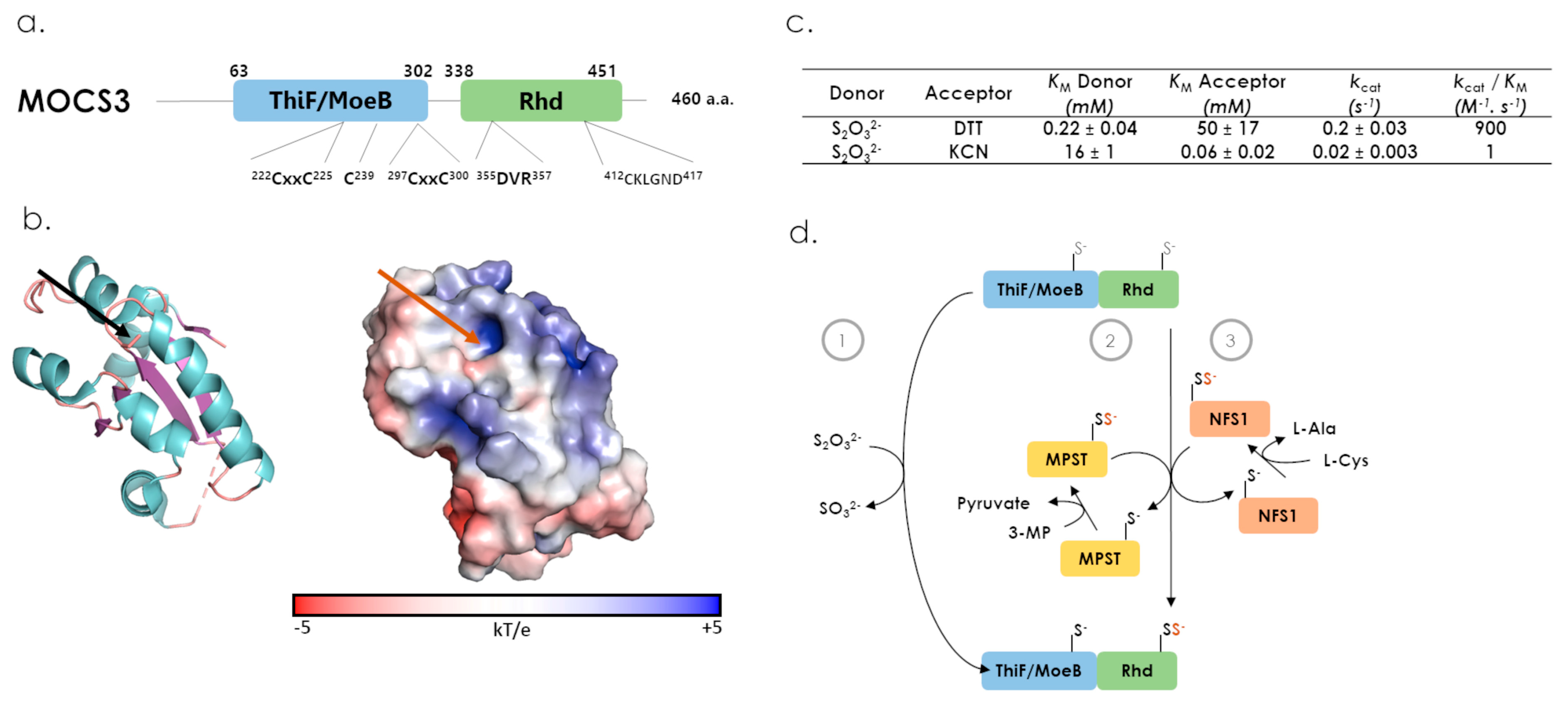 Antioxidants 12 00843 g009
