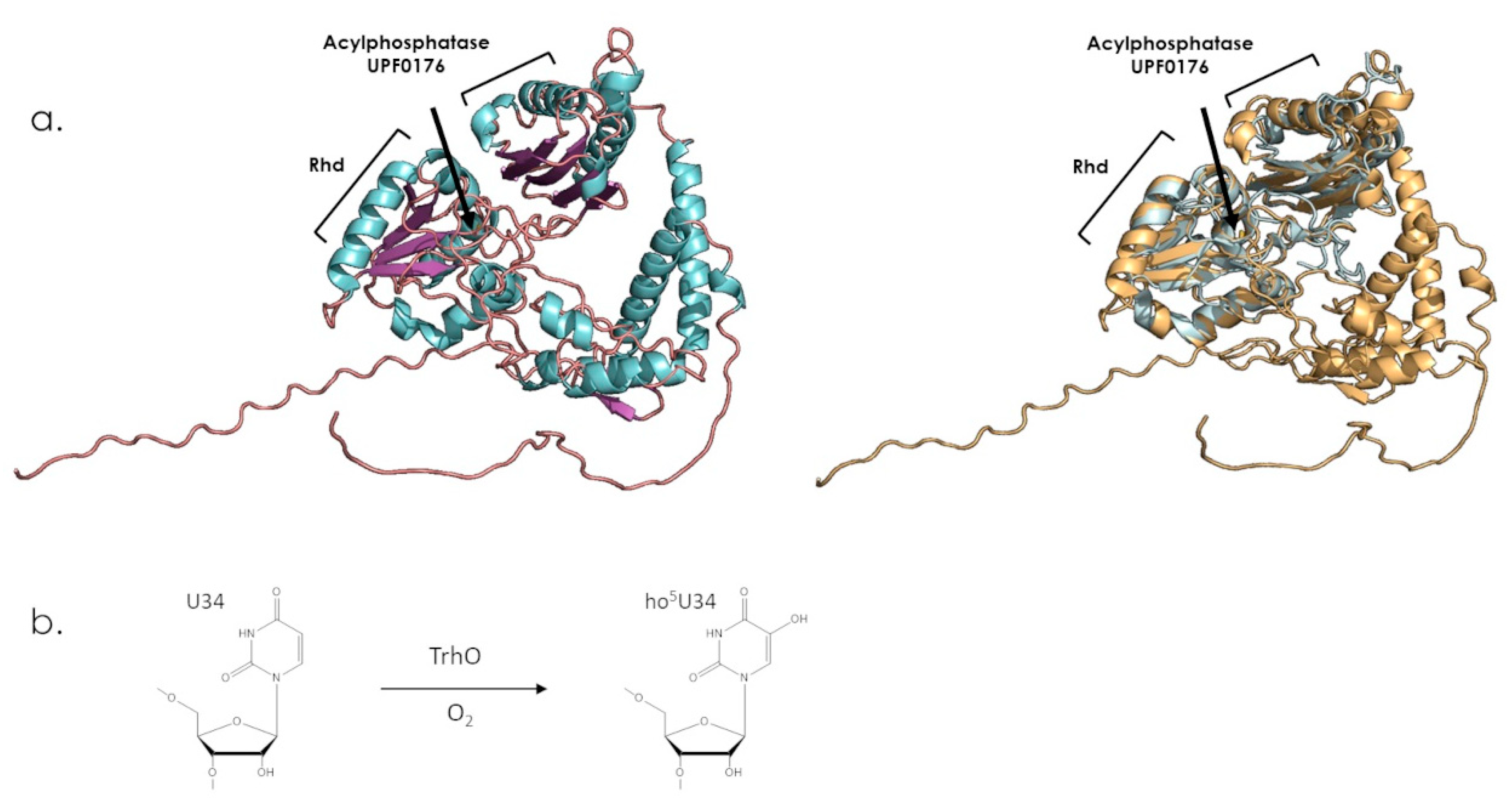 Antioxidants 12 00843 g011
