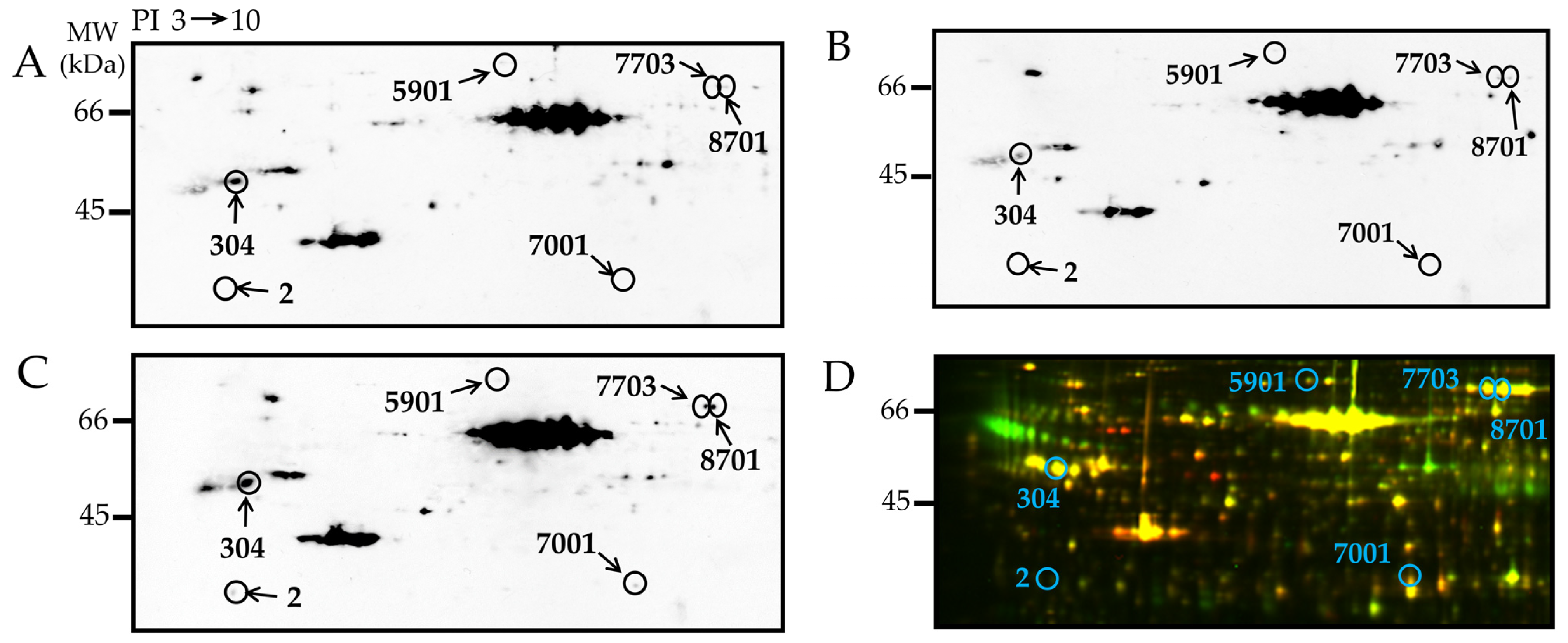 Antioxidants 12 00844 g003