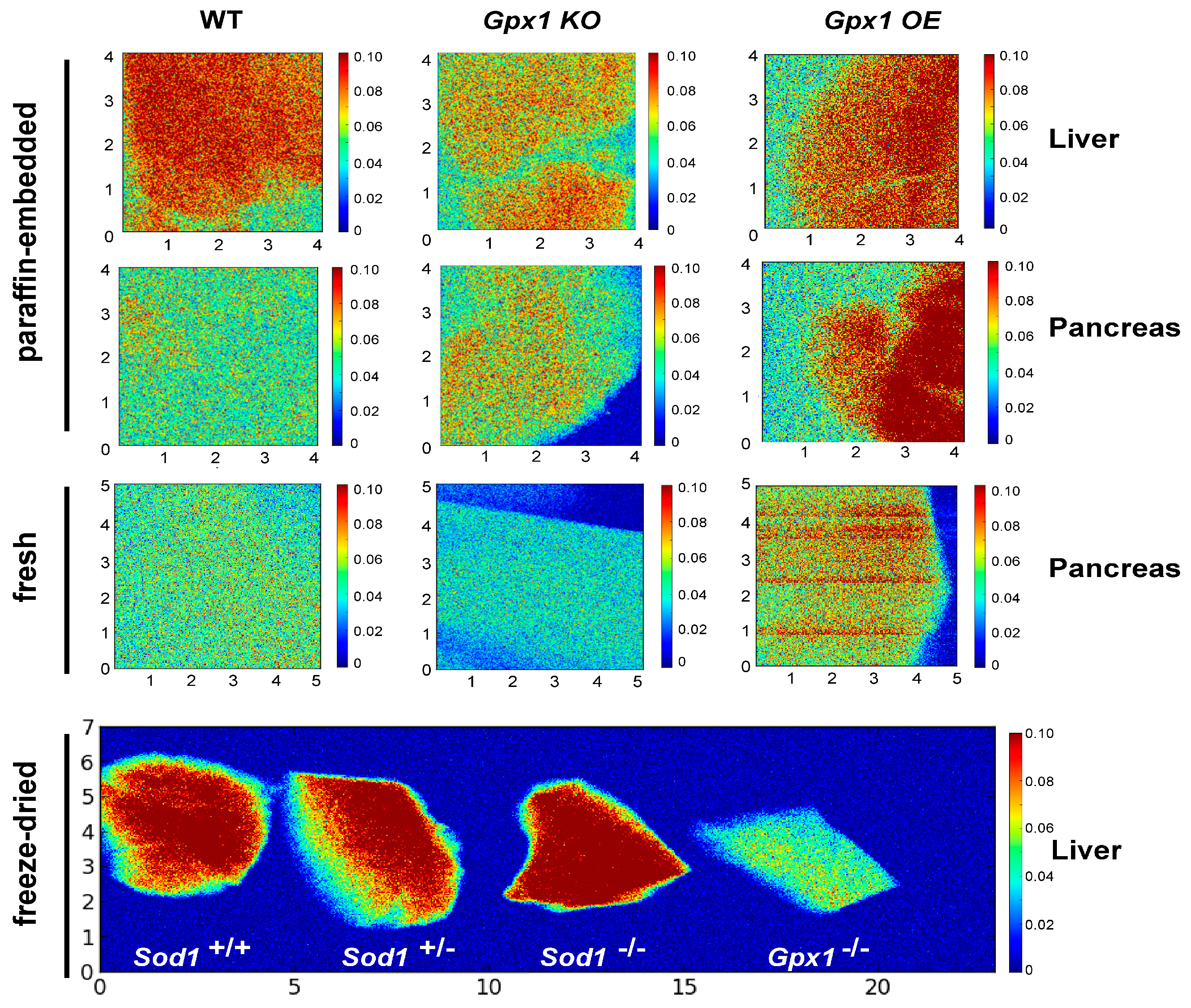 Antioxidants 12 00846 g001
