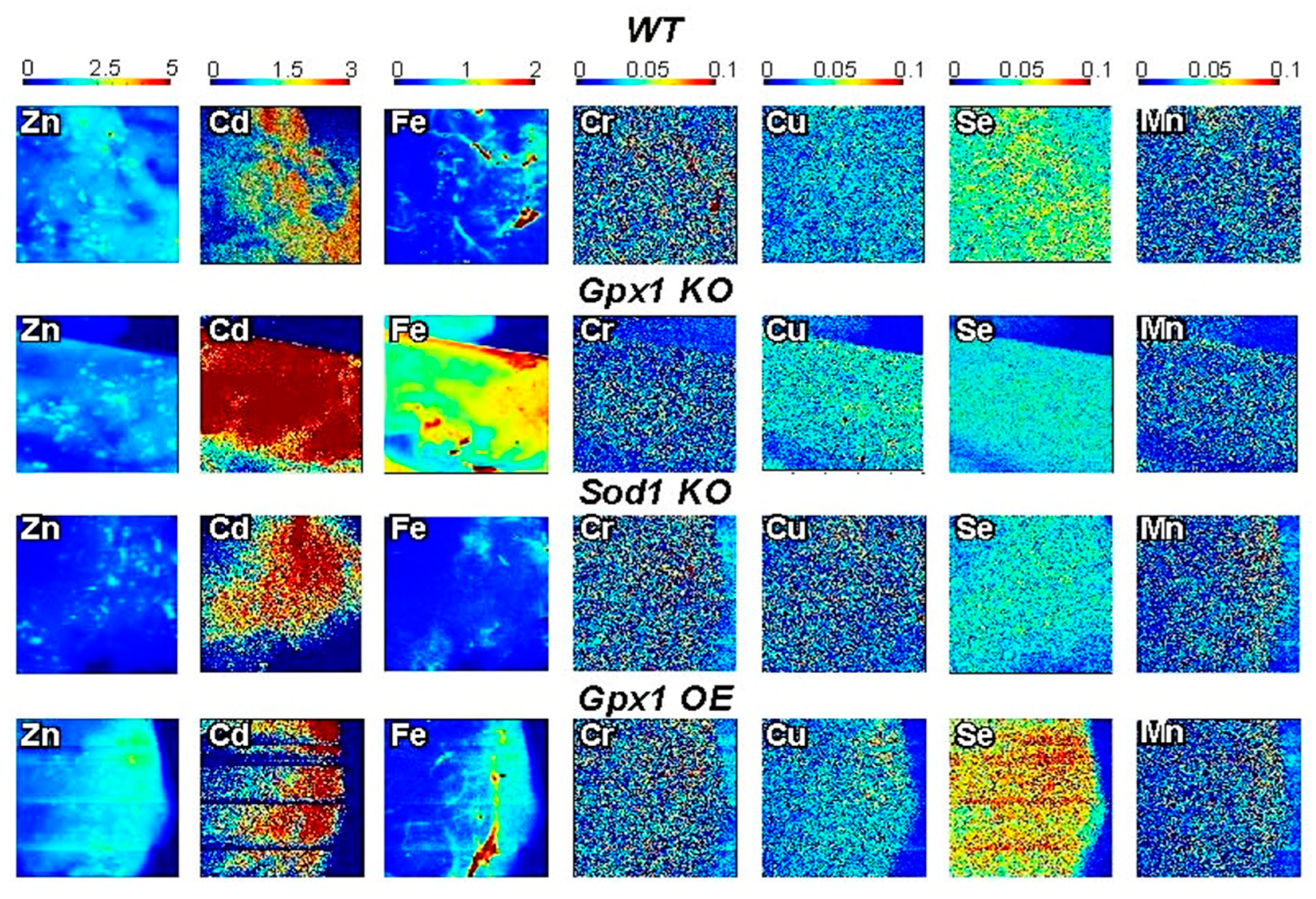Antioxidants 12 00846 g002