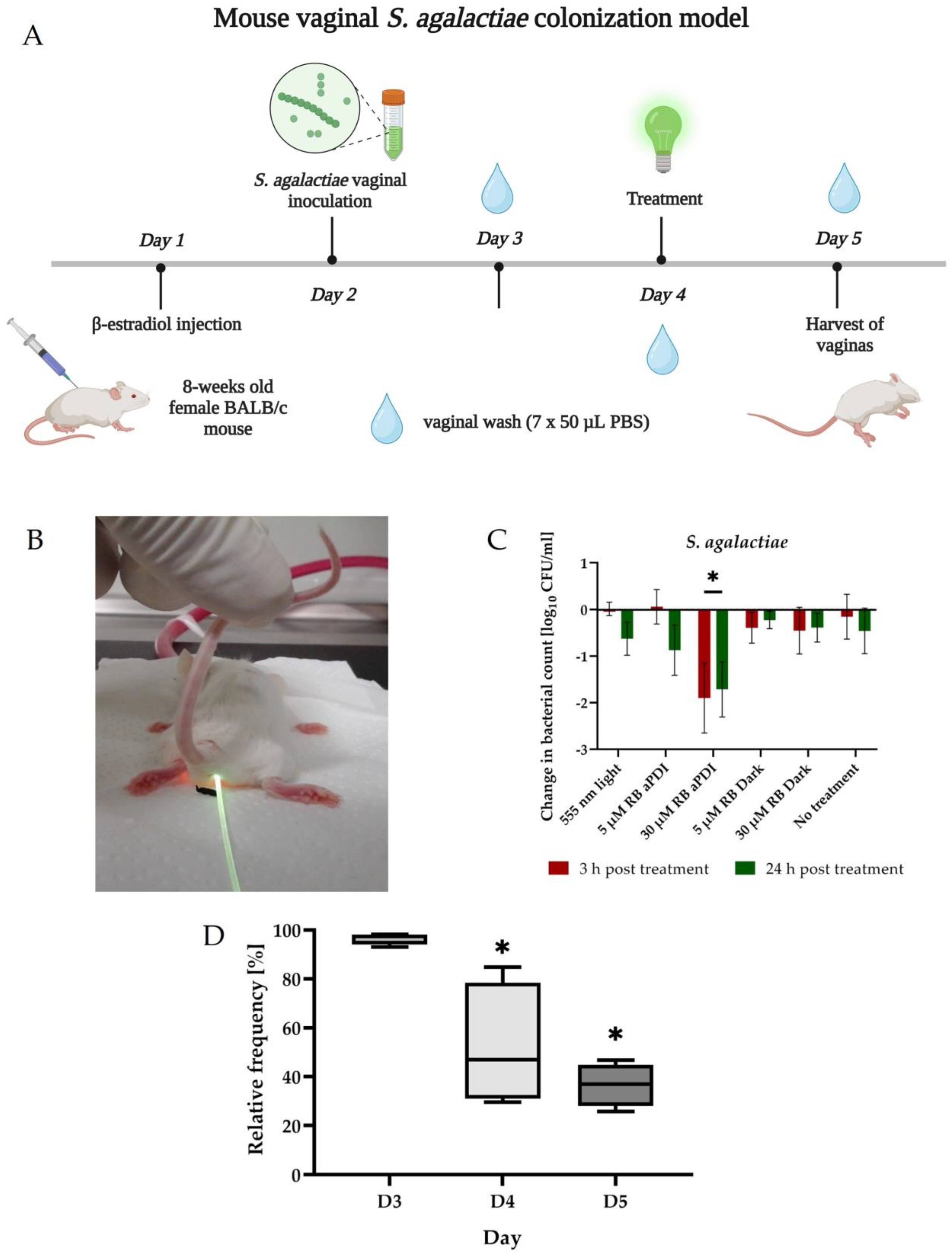 Antioxidants 12 00847 g003