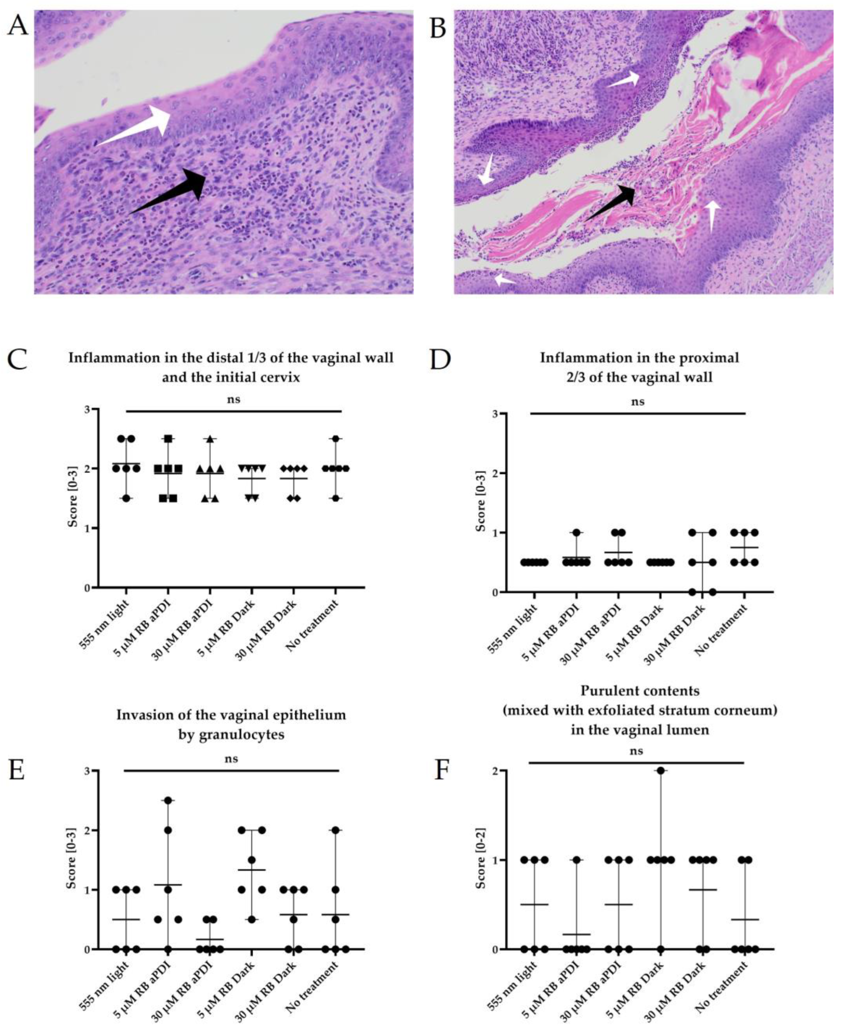 Antioxidants 12 00847 g004