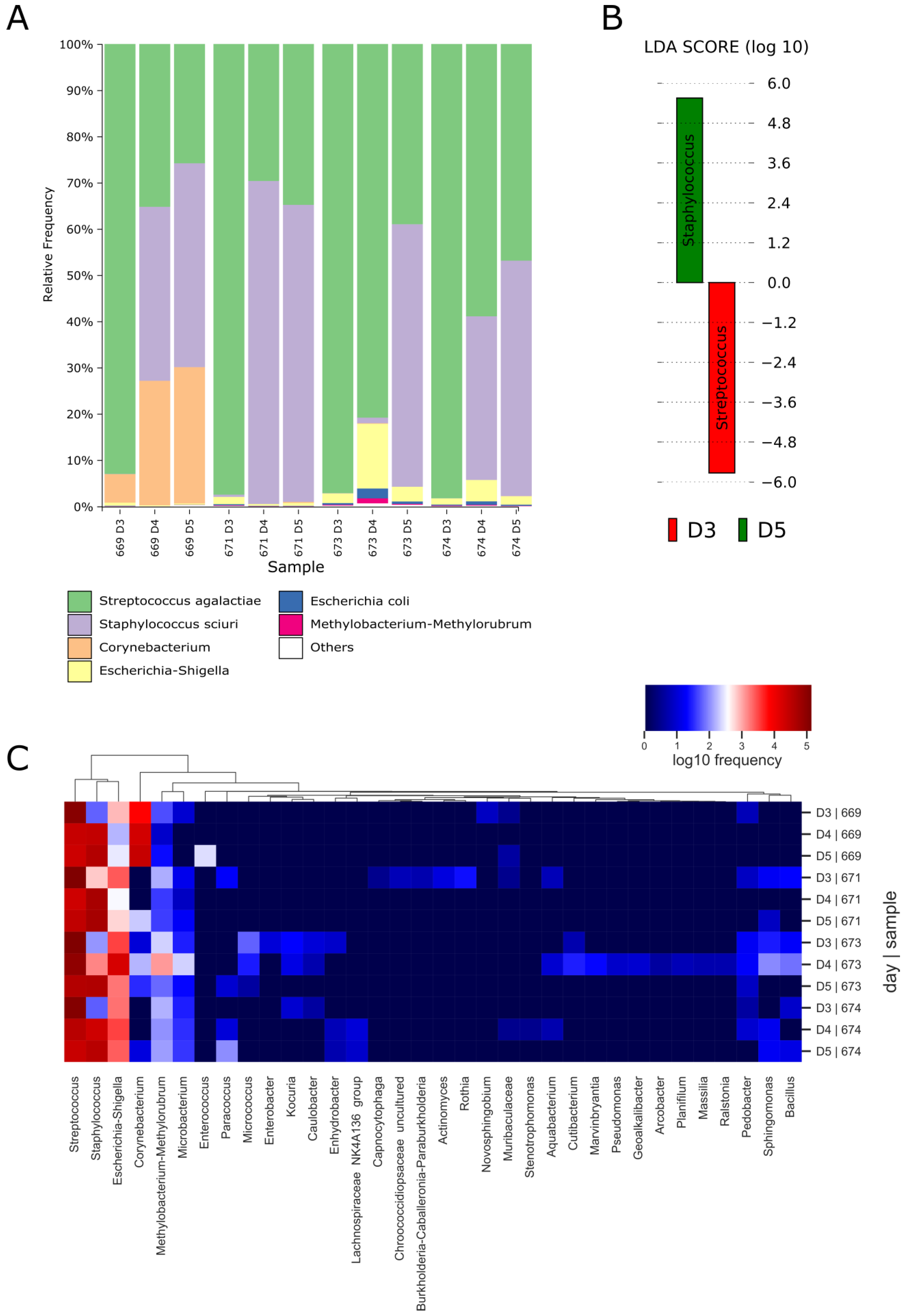 Antioxidants 12 00847 g006