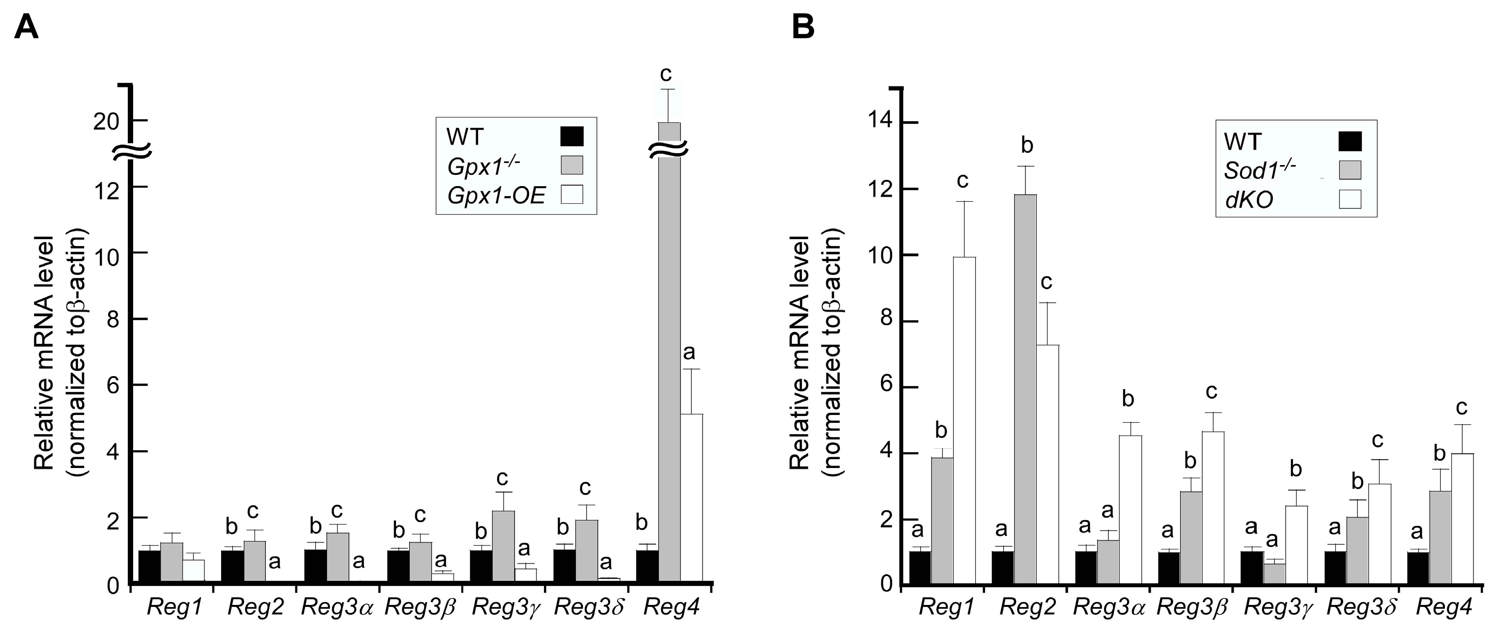 Antioxidants 12 00849 g001