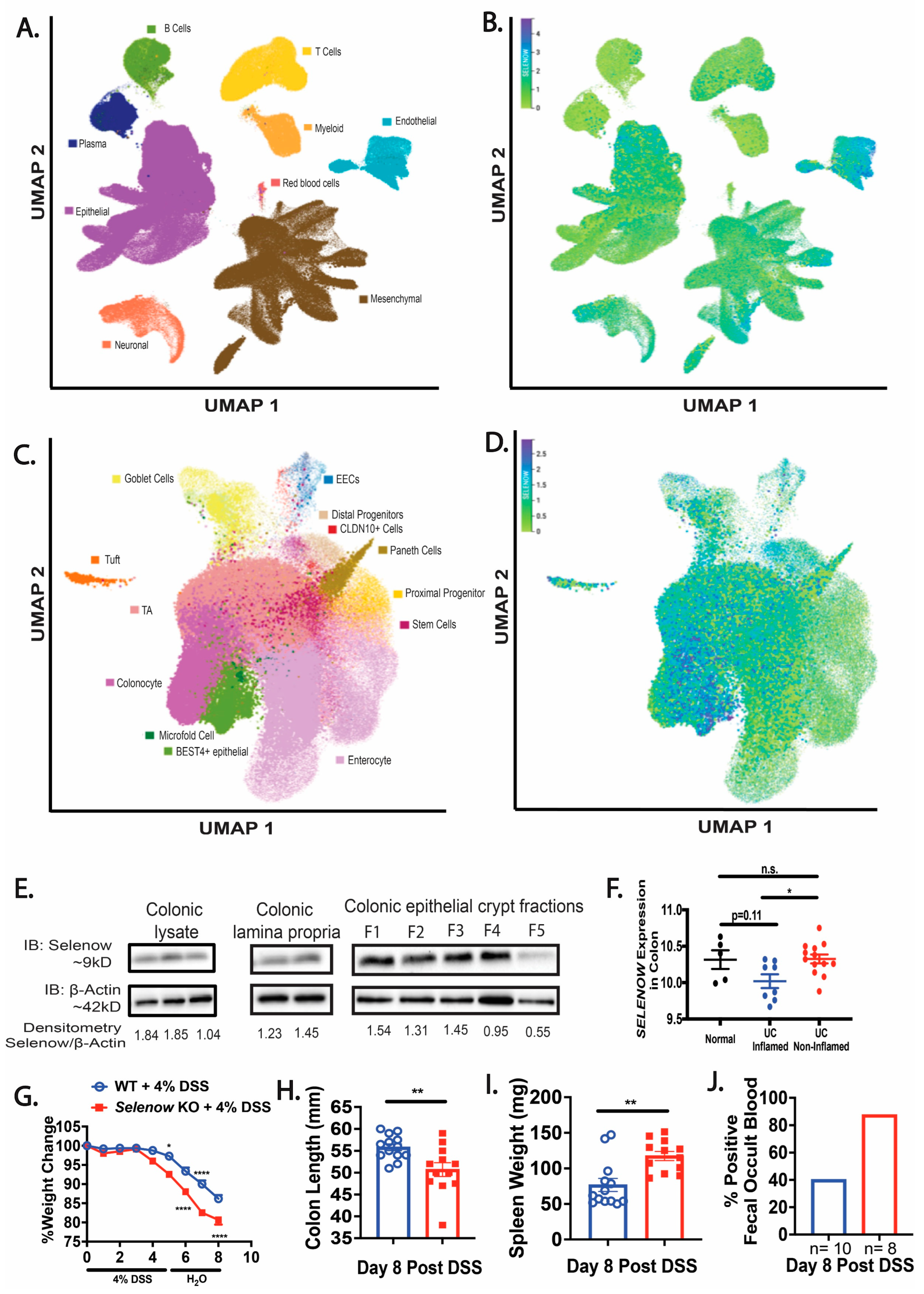 Antioxidants 12 00850 g001