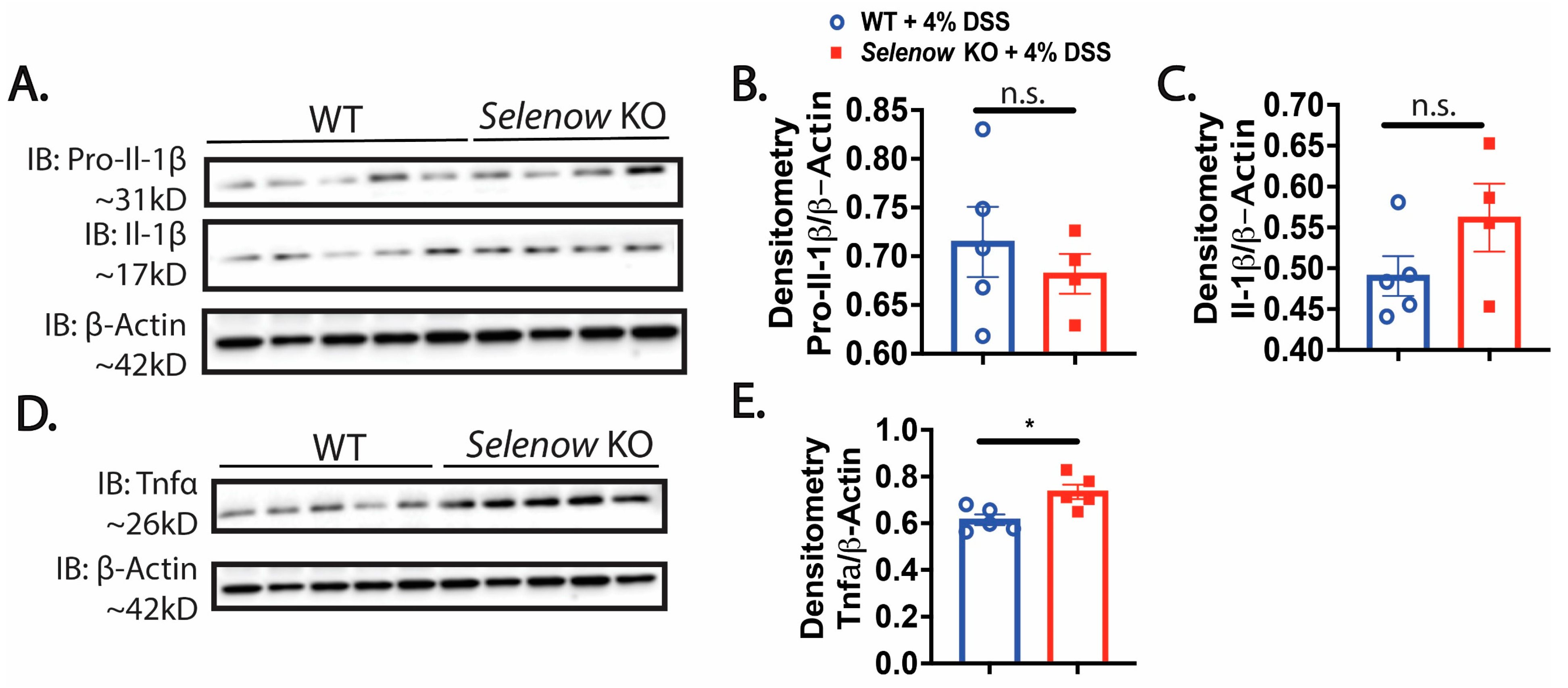 Antioxidants 12 00850 g002