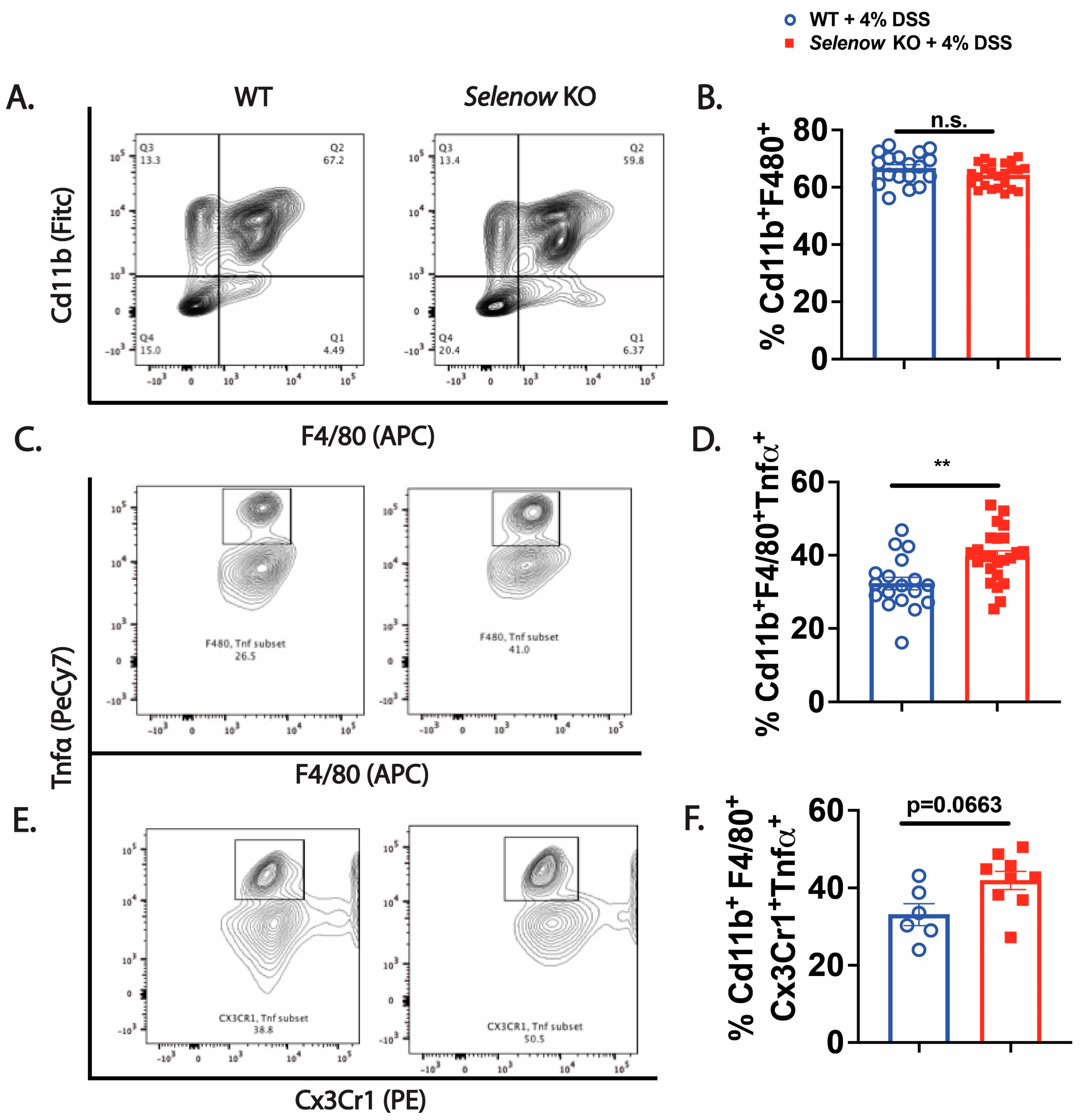 Antioxidants 12 00850 g003
