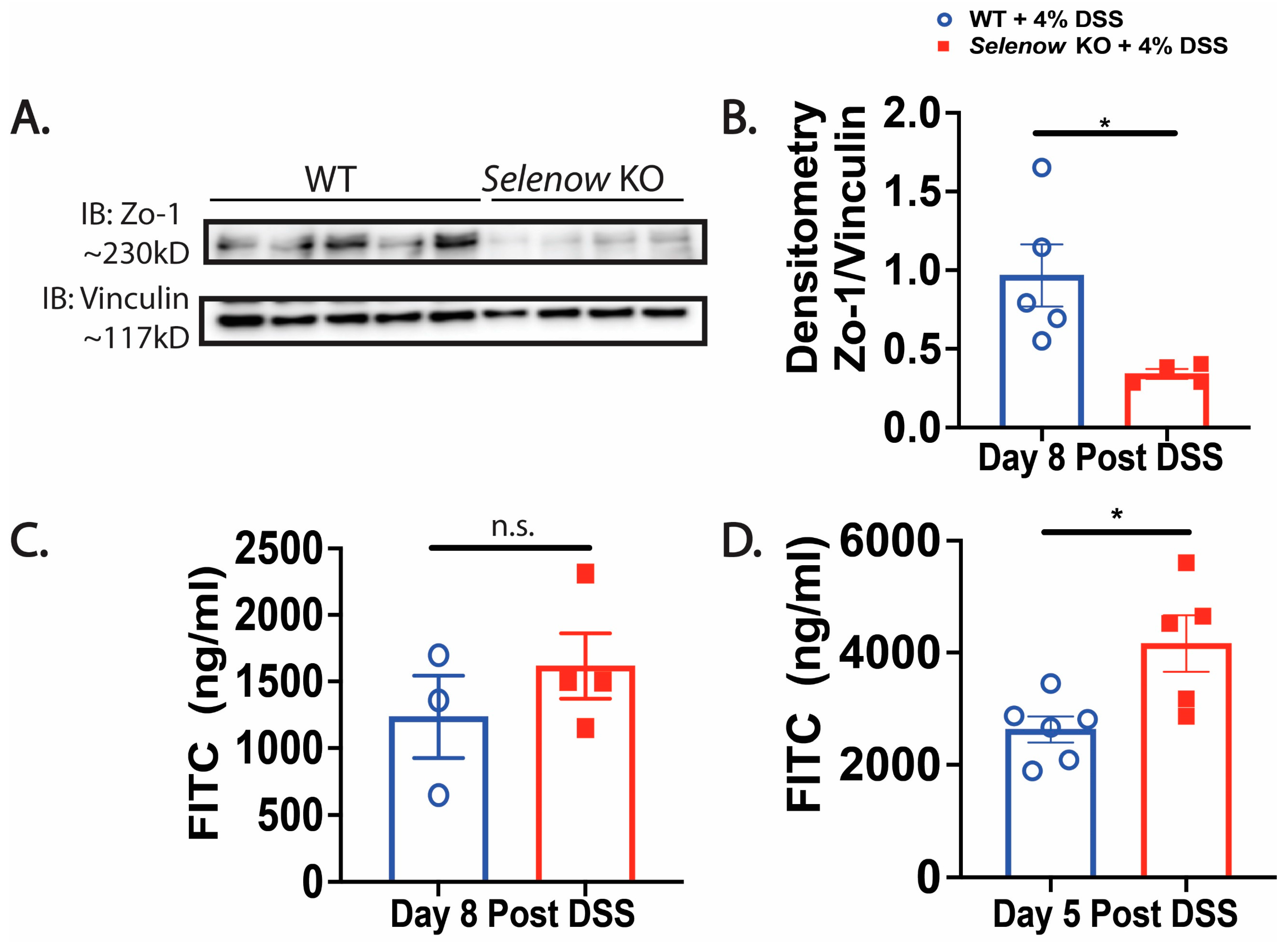 Antioxidants 12 00850 g004